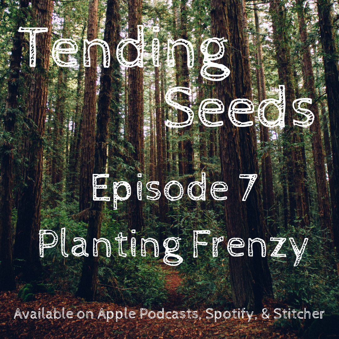 Tending Seeds: Adventures in Gardening, Homesteading, and Herbalism
