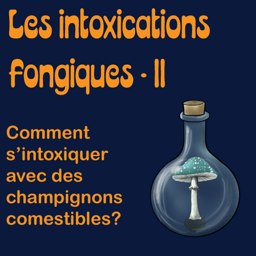 Les intoxications fongiques partie 2 Les intoxications fongiques partie 2