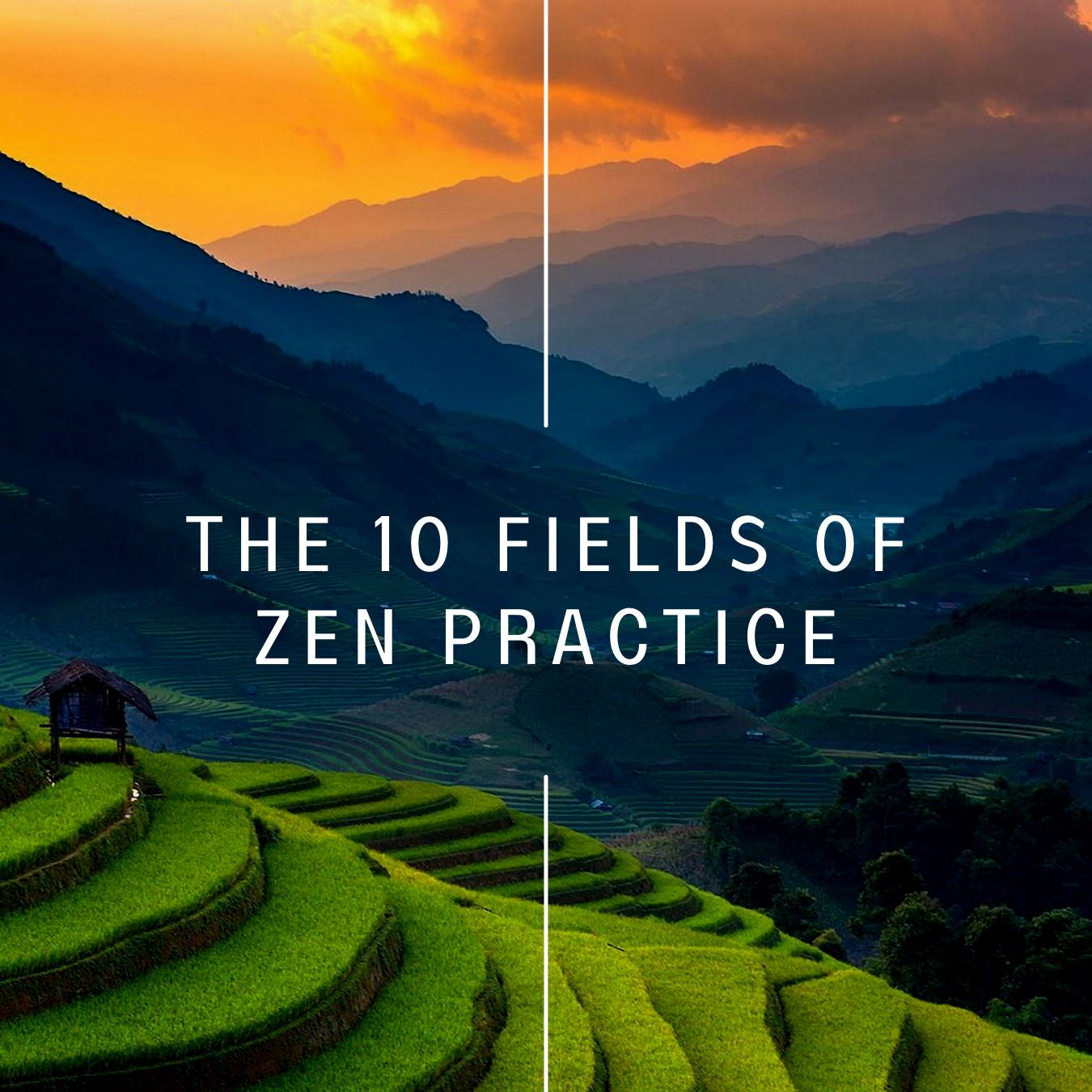 Ten Fields of Zen, Field 7 – Learning the Self: This Very Body Is Buddha (3 of 3)