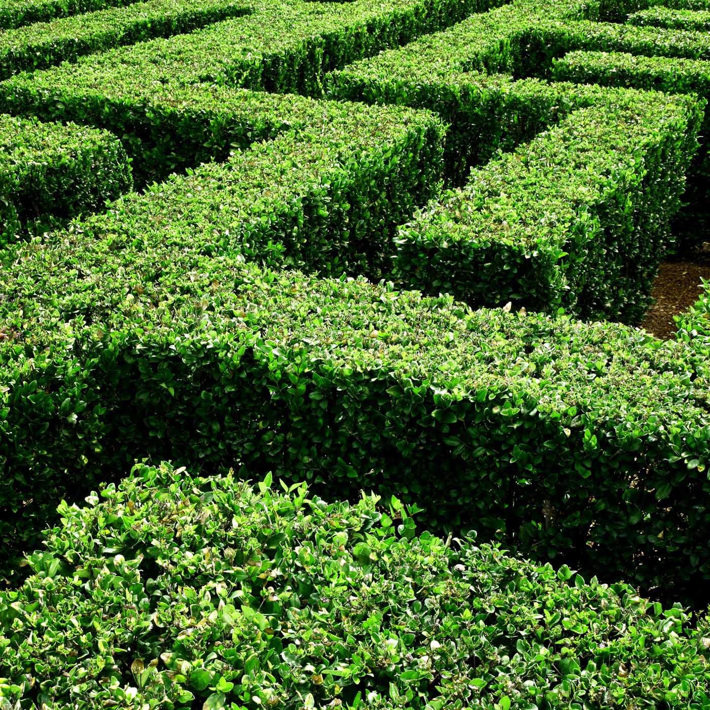 cover of episode How to keep pace with the fast-changing landscape for ESG regulation, standards