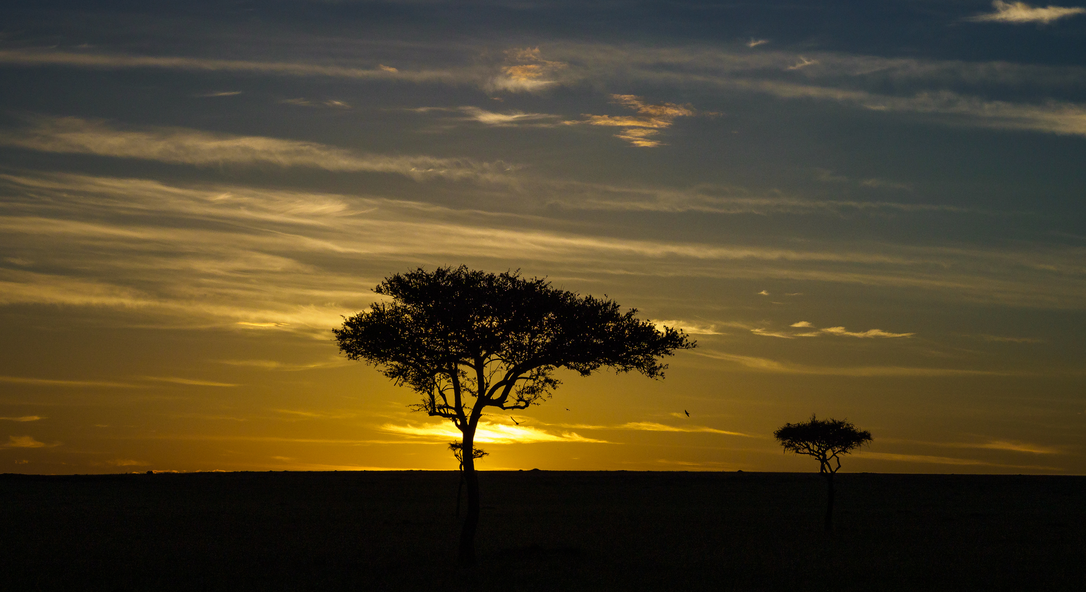 Adventure With Africa Kenya Safaris