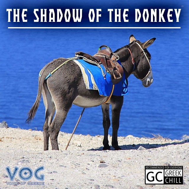 The Shadow of the Donkey