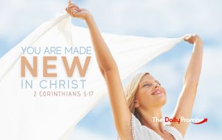 The Daily Promise