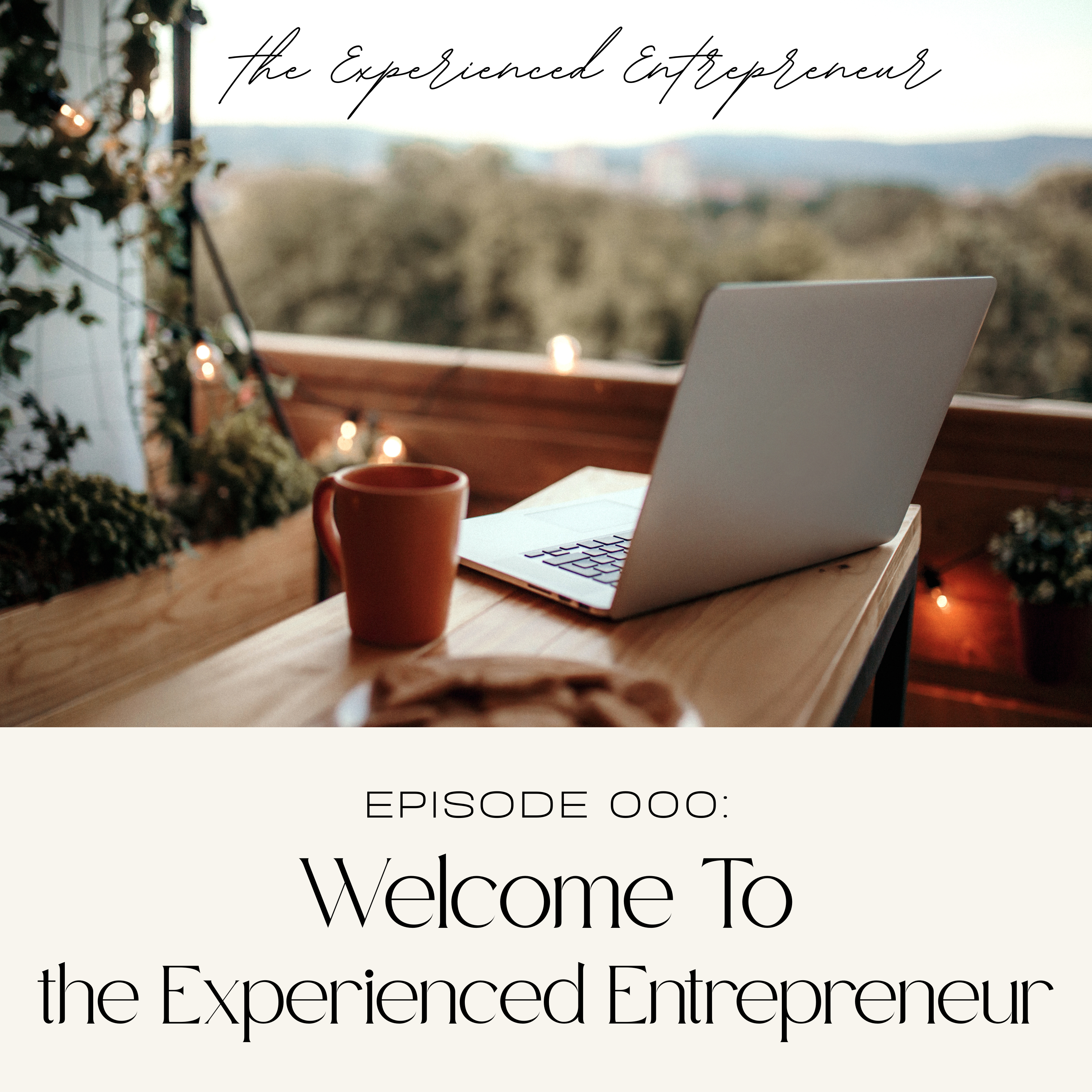 Welcome to The Experienced Entrepreneur