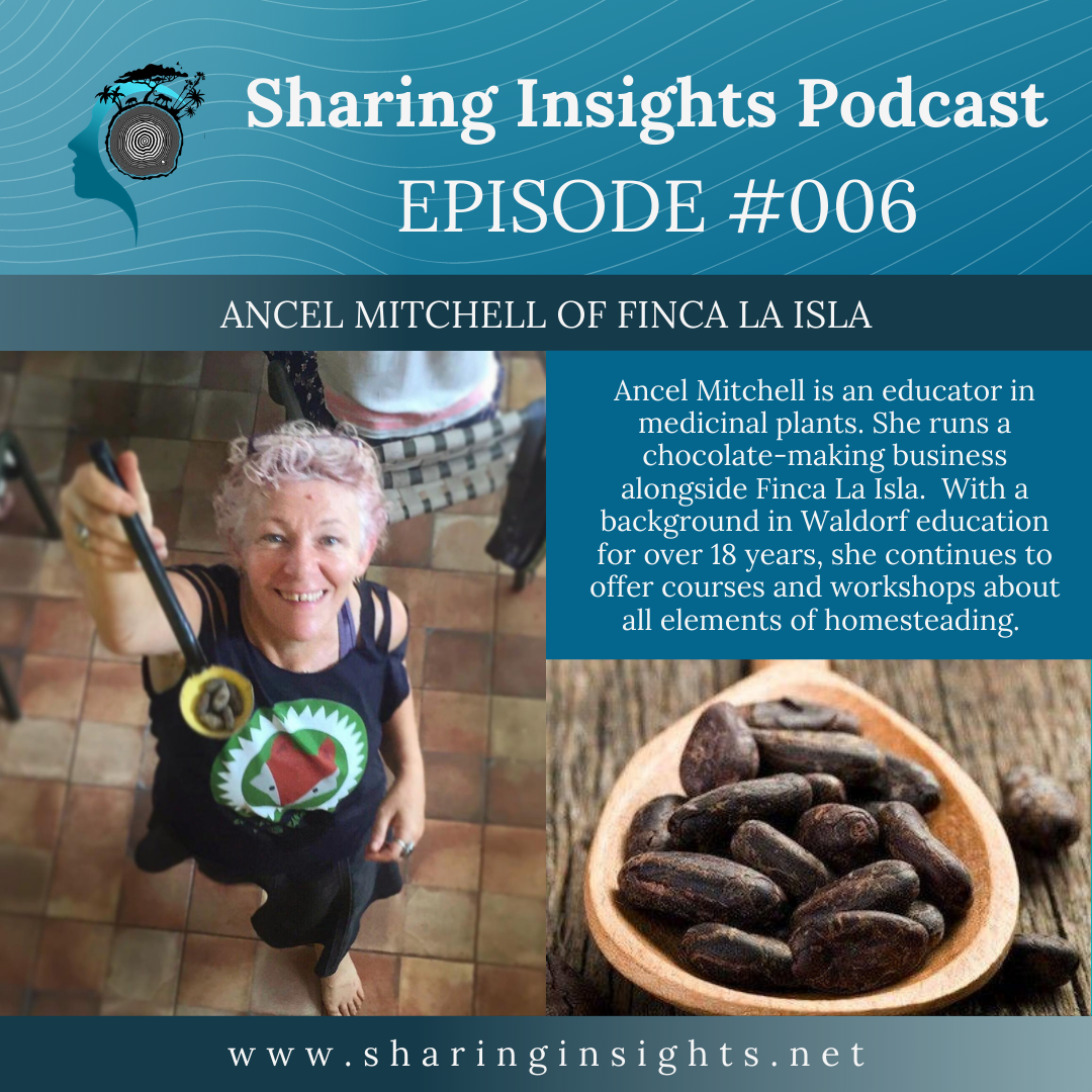 Regeneration Nation Costa Rica