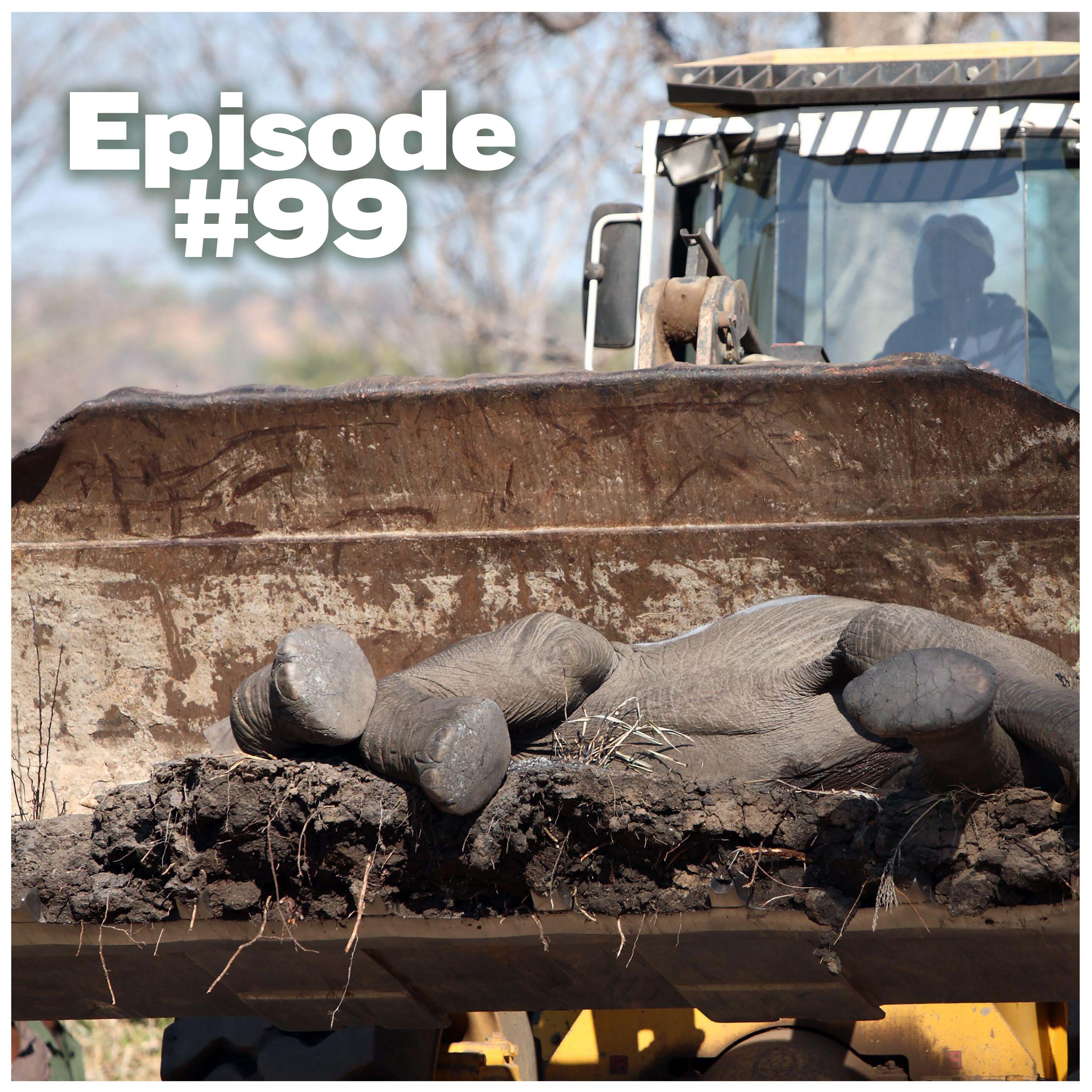 How IFAW kills people with elephants