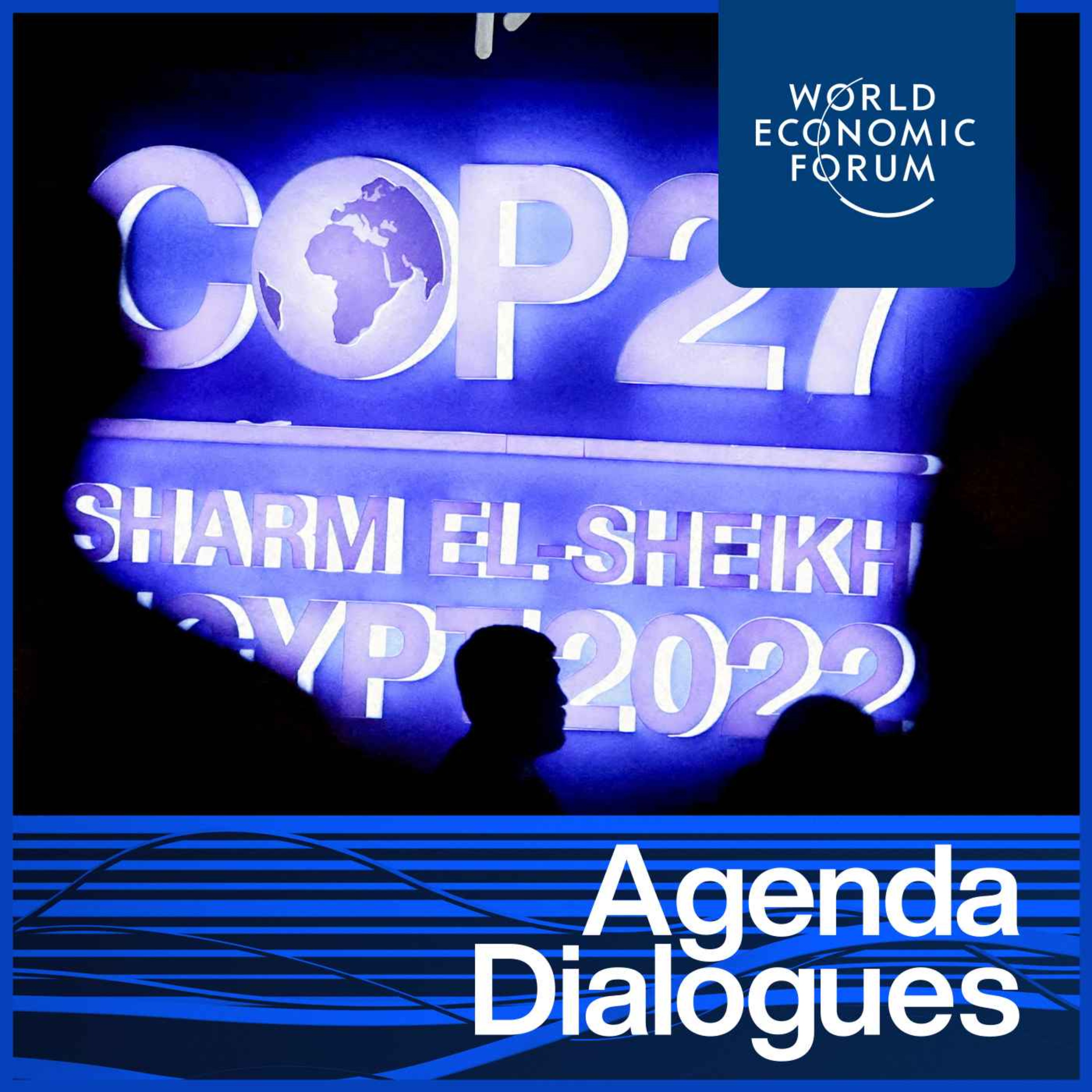 Beyond COP27: Leaders on the Road Ahead