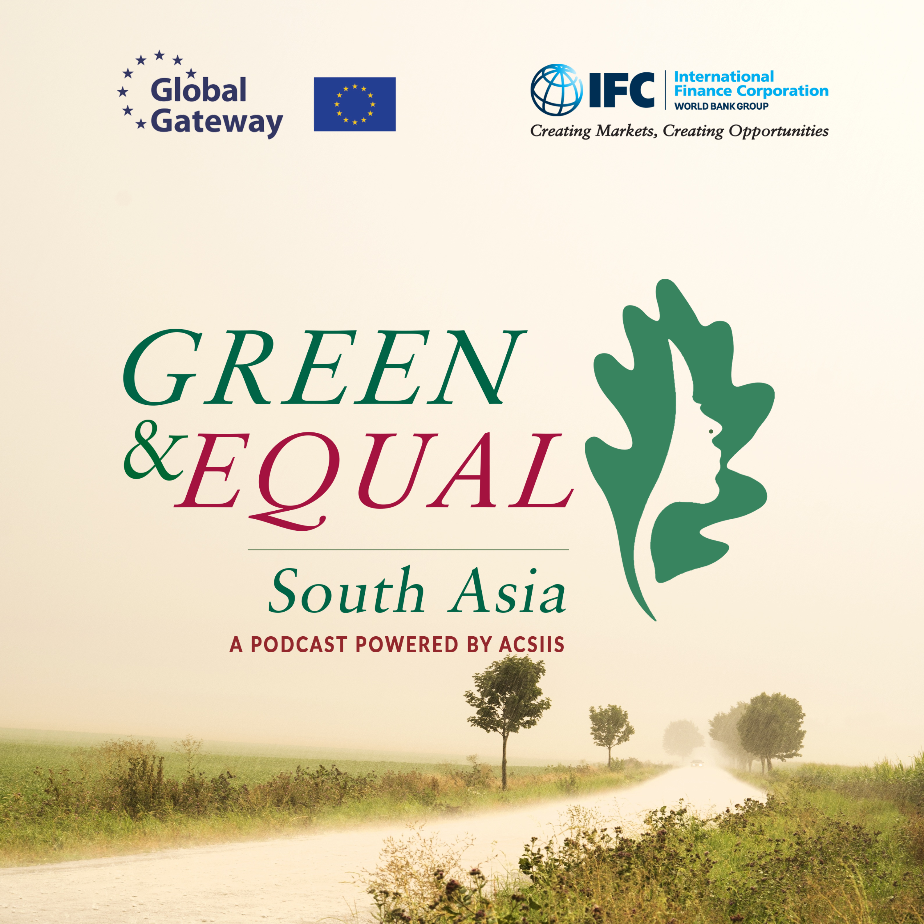 The Network Effects of Women in Green Infrastructure