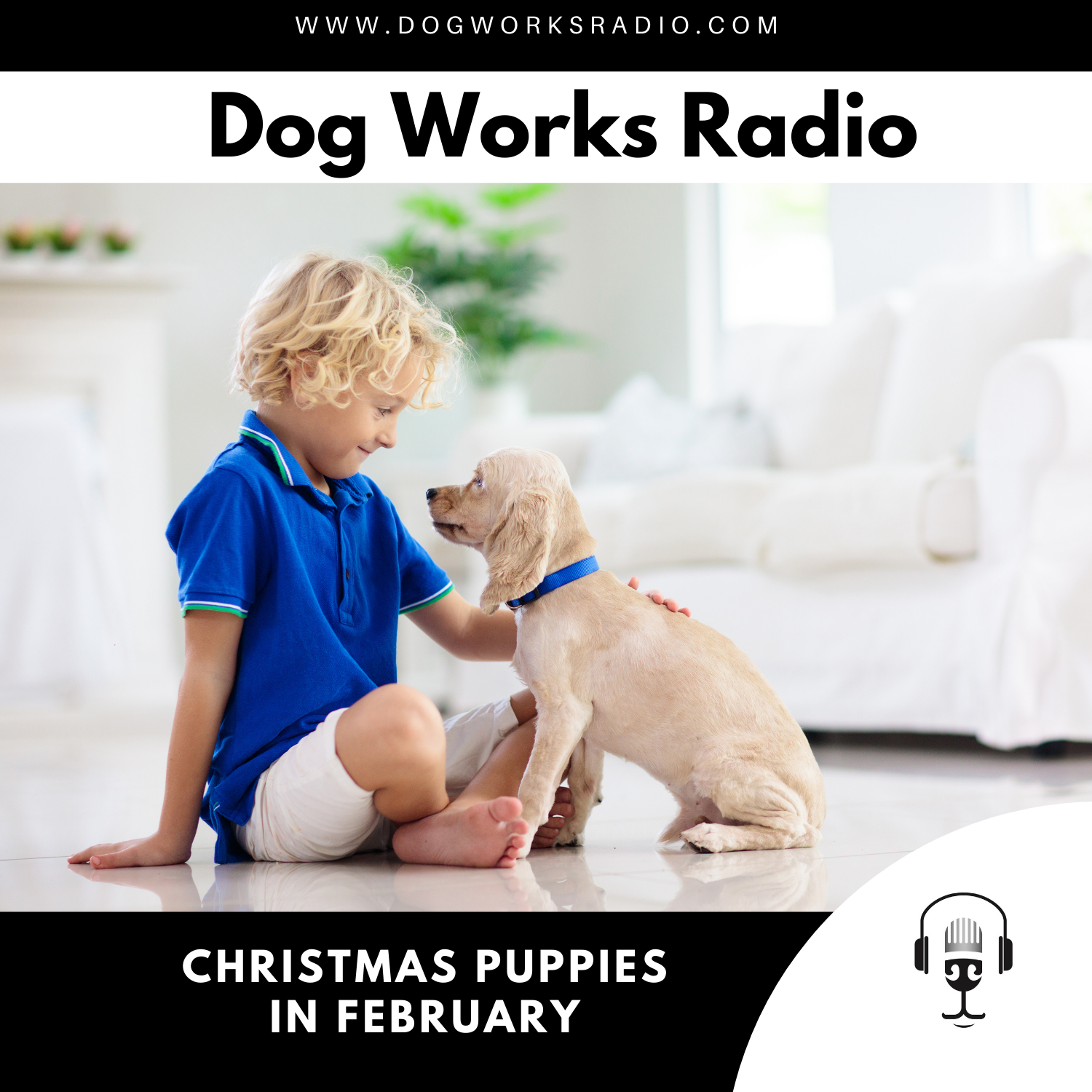 Christmas Puppies in February: Teaching Good Behavior Before It's Too Late