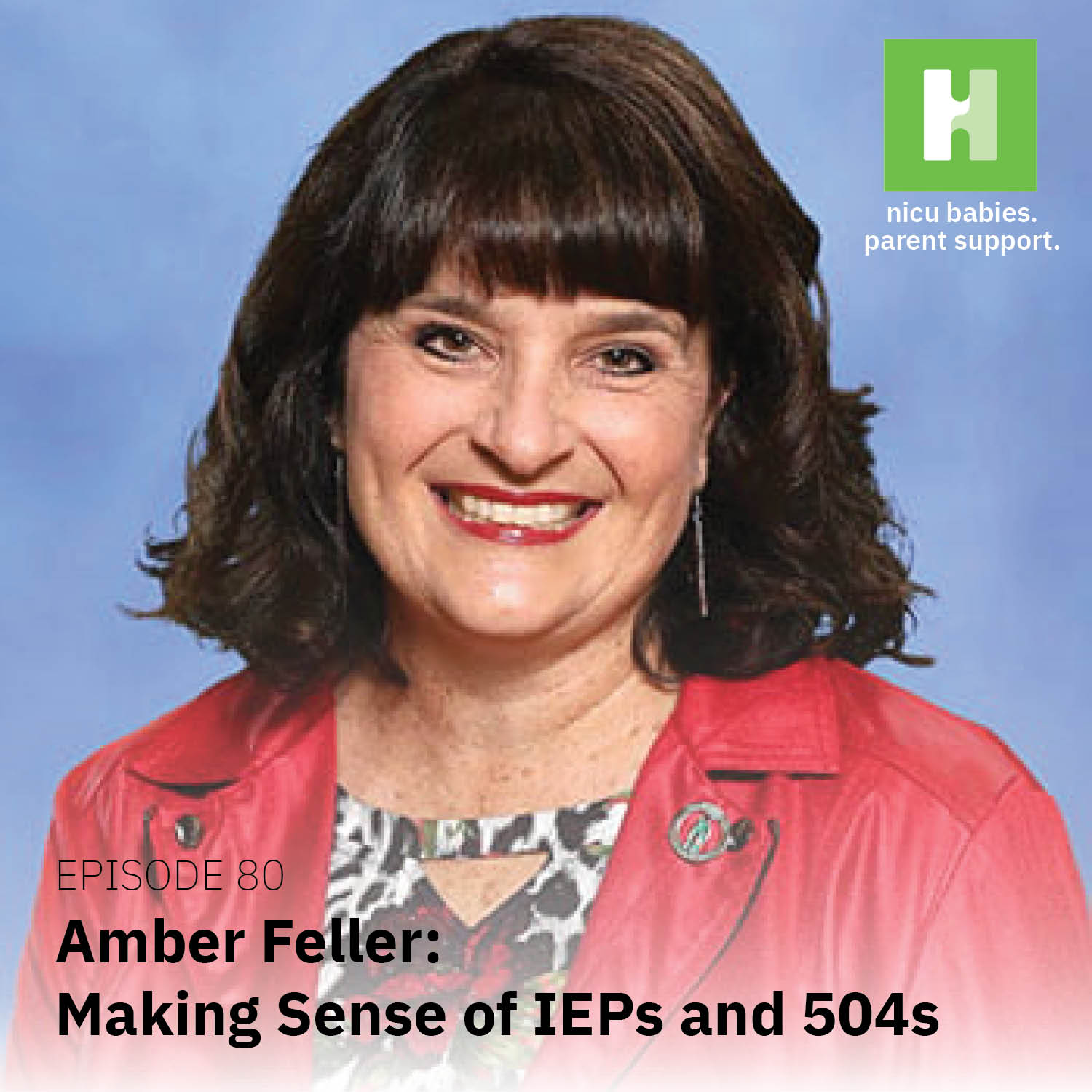 Episode 80: Helping Your Child in School Through IEPs and 504s ft. Amber Feller