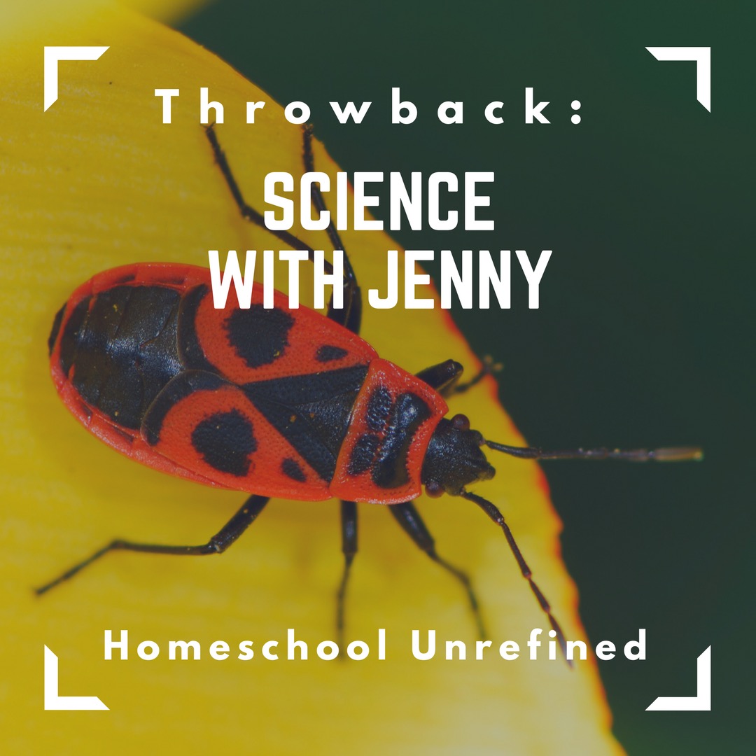 Homeschool Unrefined