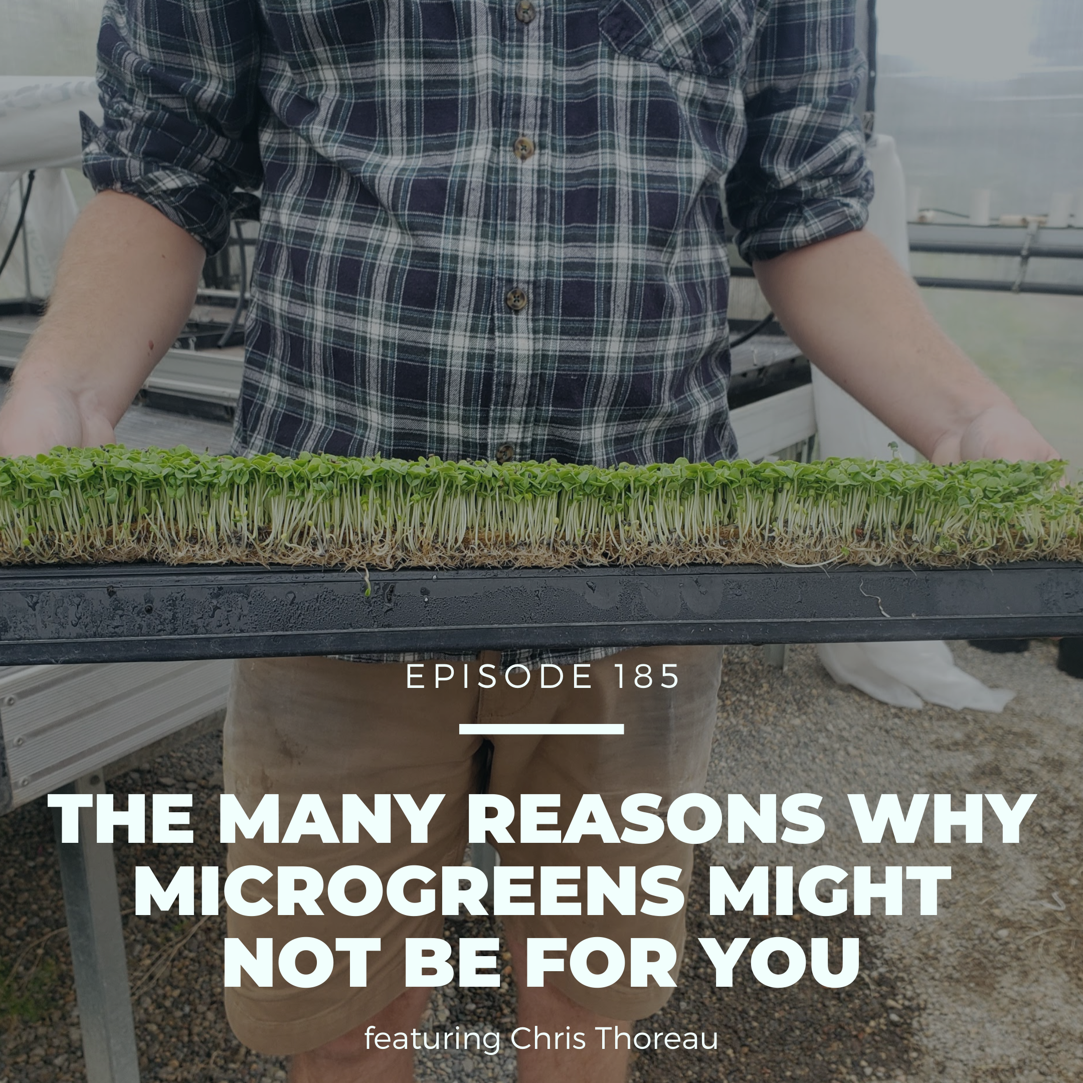 The Many Reasons Why Microgreens Might NOT Be a Fit For You (FSFS185)