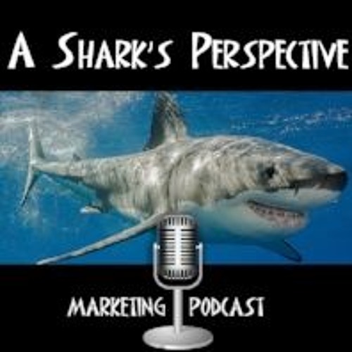 A Shark\'s Perspective
