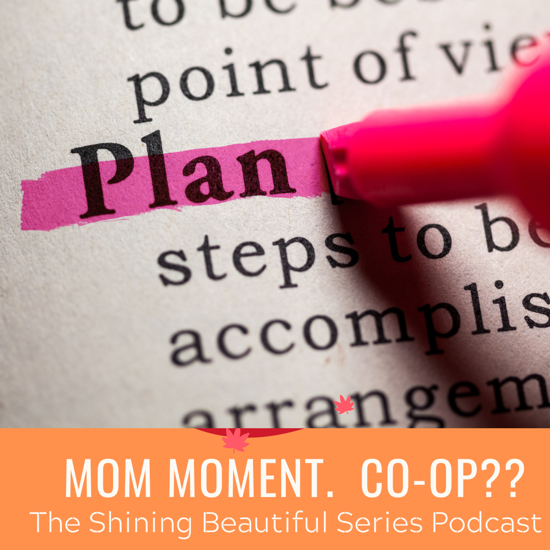 Mom Moment.  Should We Start a Co-op?
