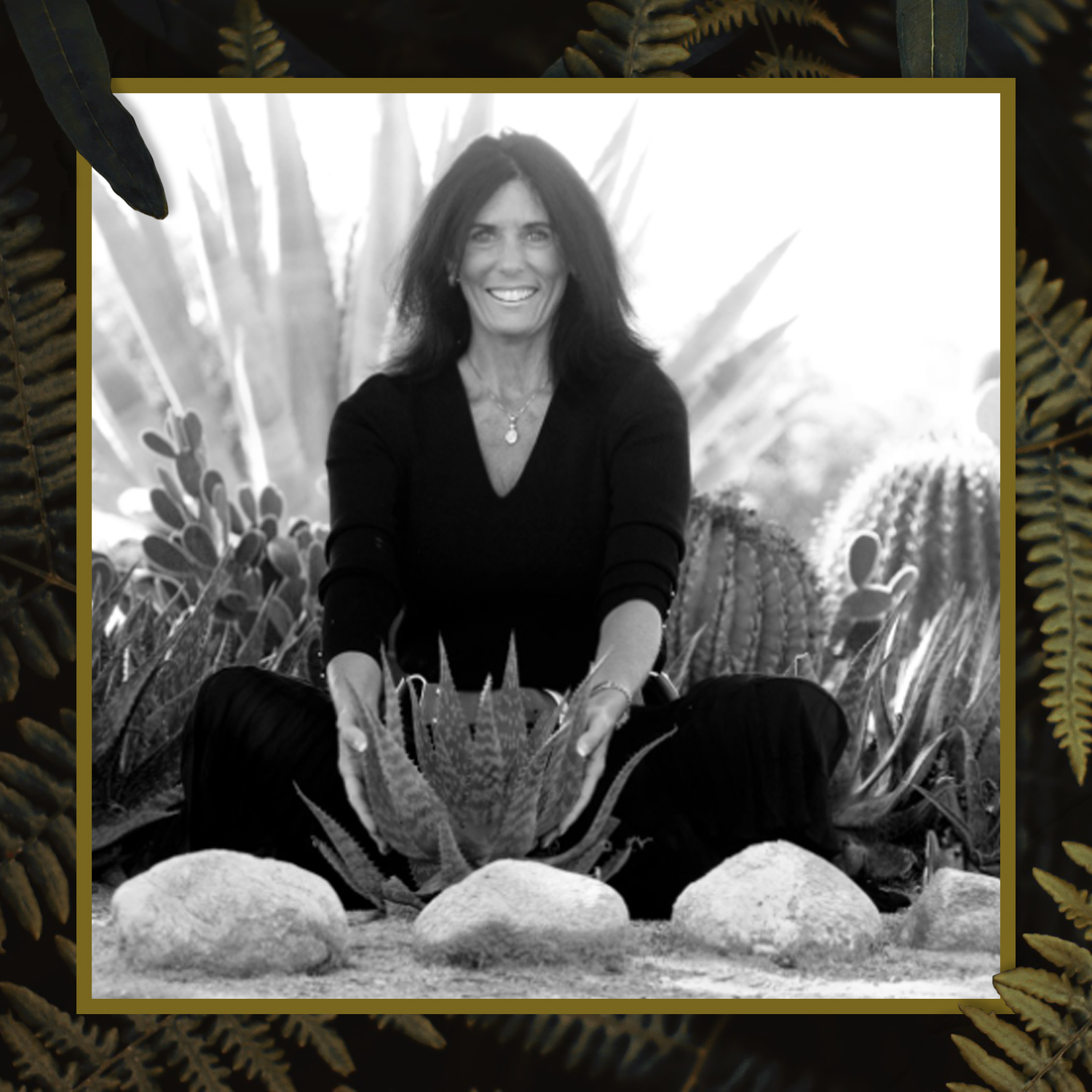 Botanicals and GI Health: A Holistic Approach with Dr. Tieraona Low Dog