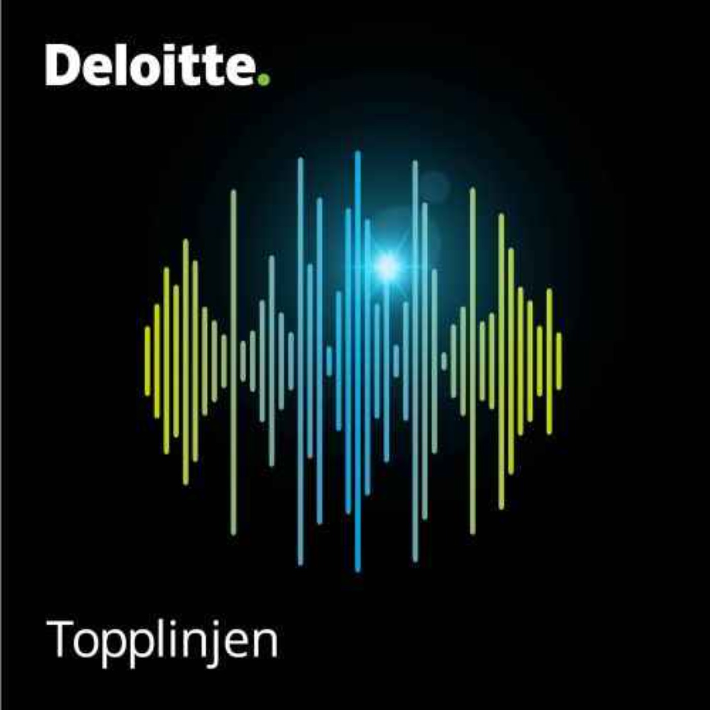 Topplinjen: Bak tallene med finansdirektørene