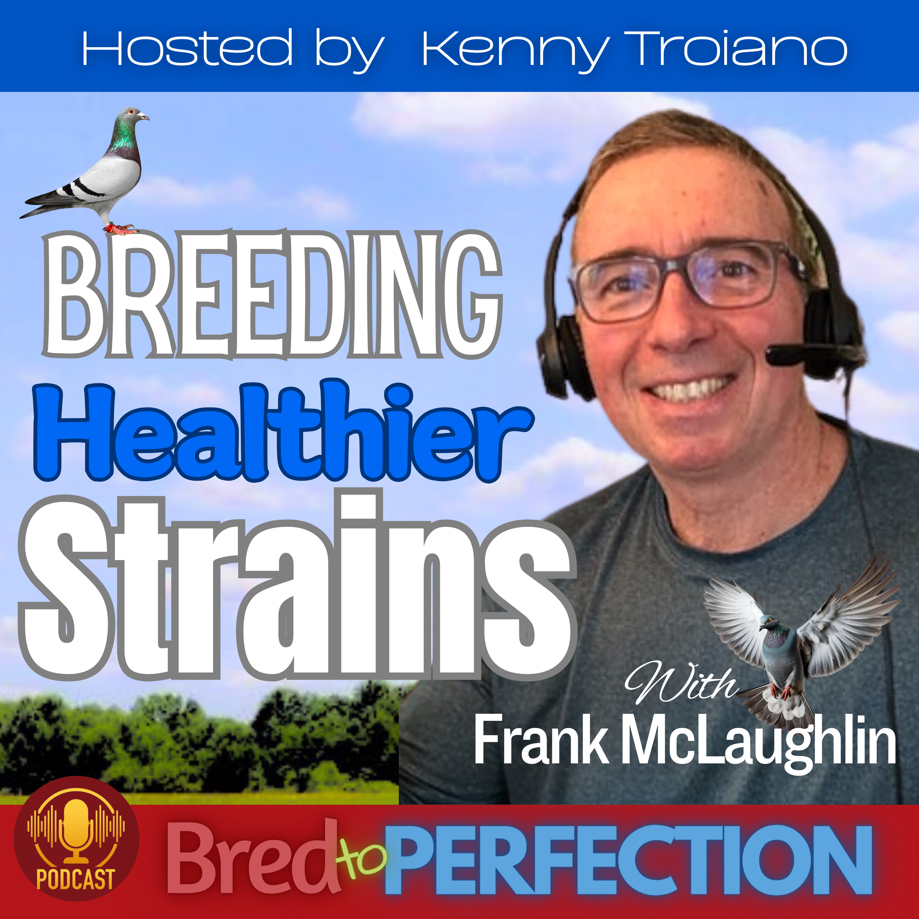 Ep207 - Breeding a Healthier Strain with Pigeon Breeder, Frank McLaughlin.