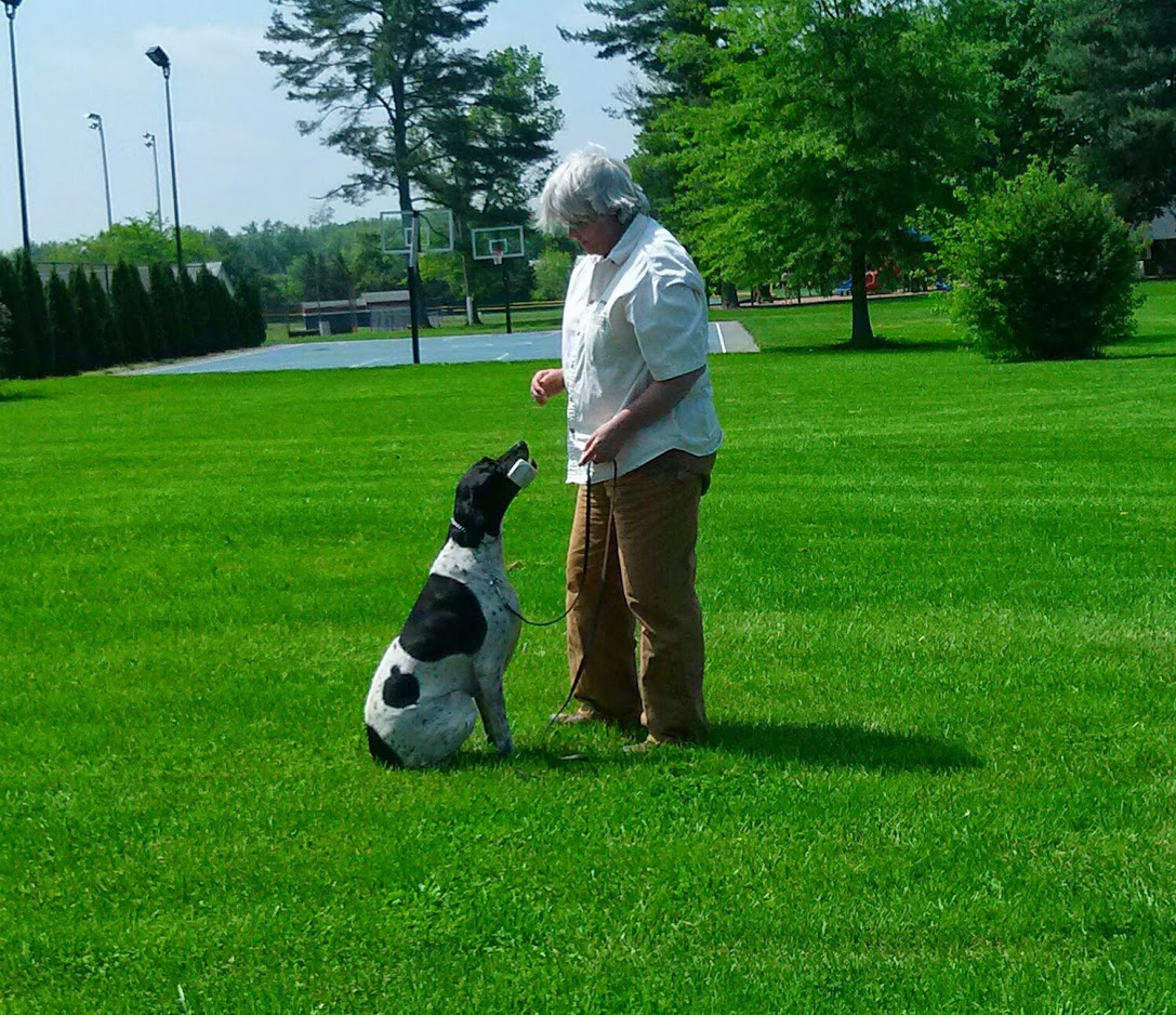 Vermont Dog Trainer Show