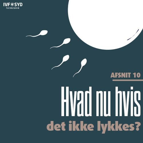 Hvad nu hvis det ikke lykkes?