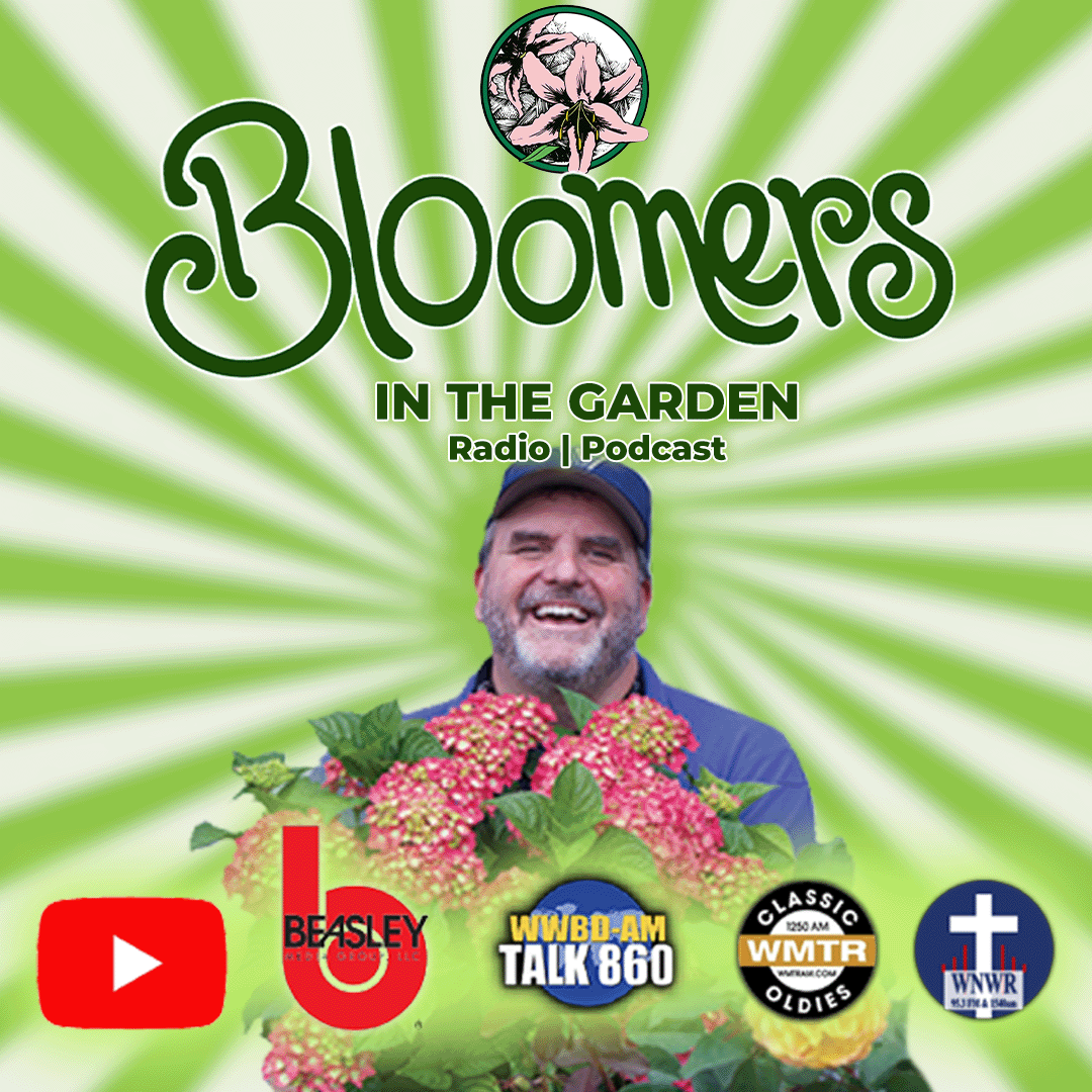 Bloomers in the Garden