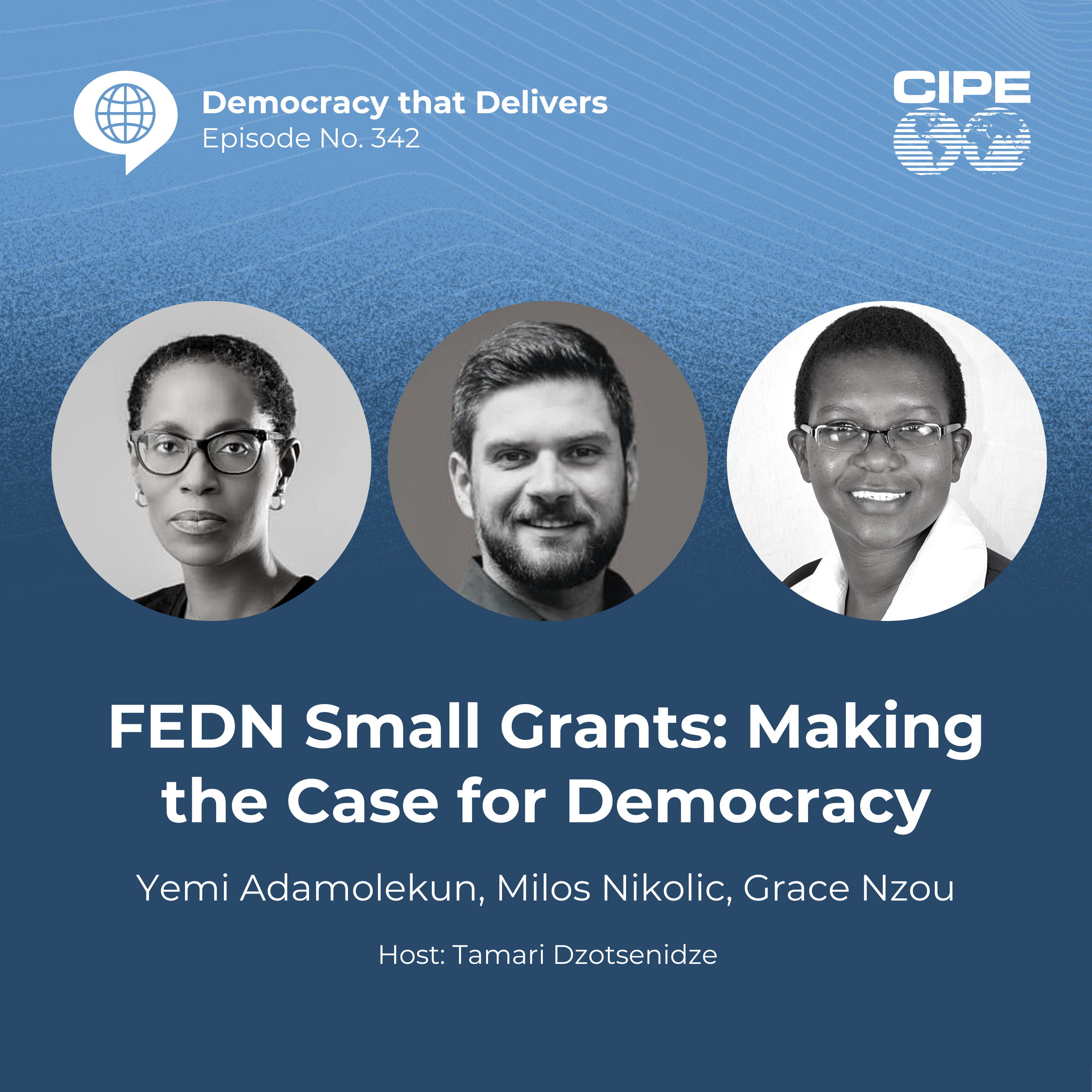 342: FEDN Small Grants: Making the Case for Democracy