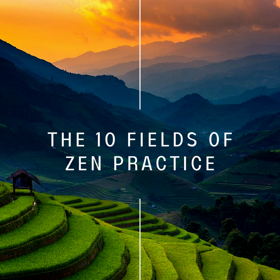 259 – Ten Fields of Zen, Introduction – What Is Zen Practice?