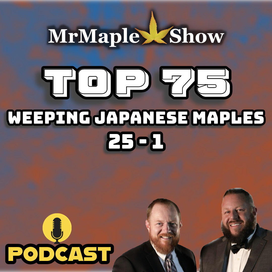 MrMaple Show