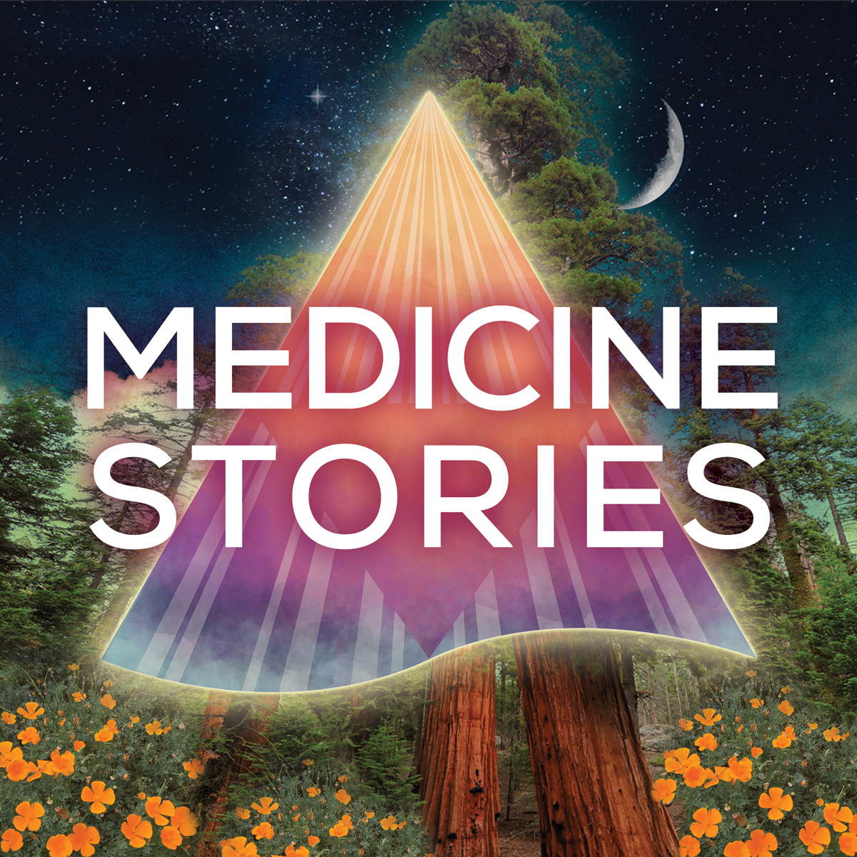 Medicine Stories
