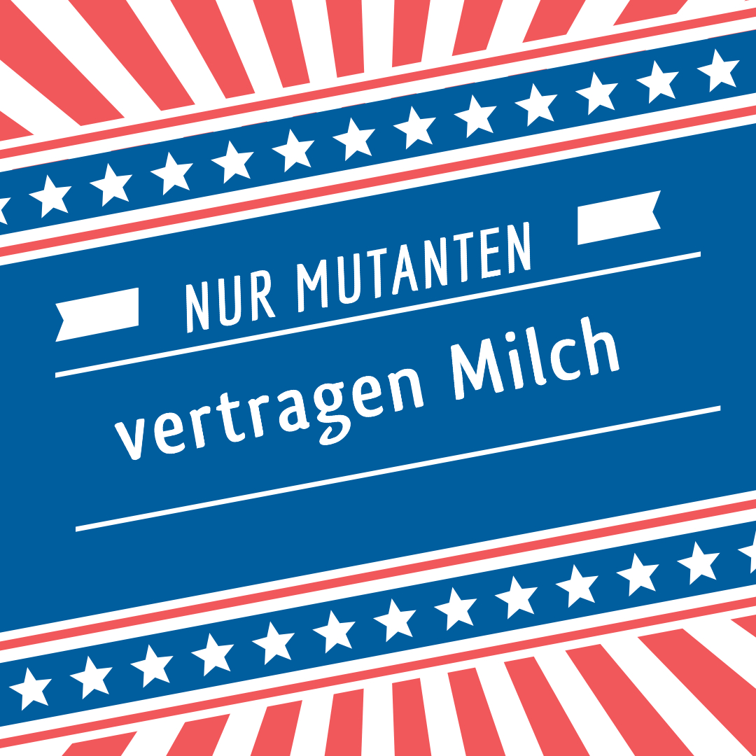 Wunderwelt Körper