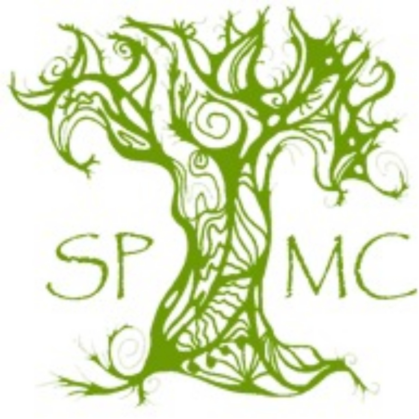 Psychedelics as Healing Truth Serum-Stephen Gray—Ninth Annual Spirit Plant Medicine Conference