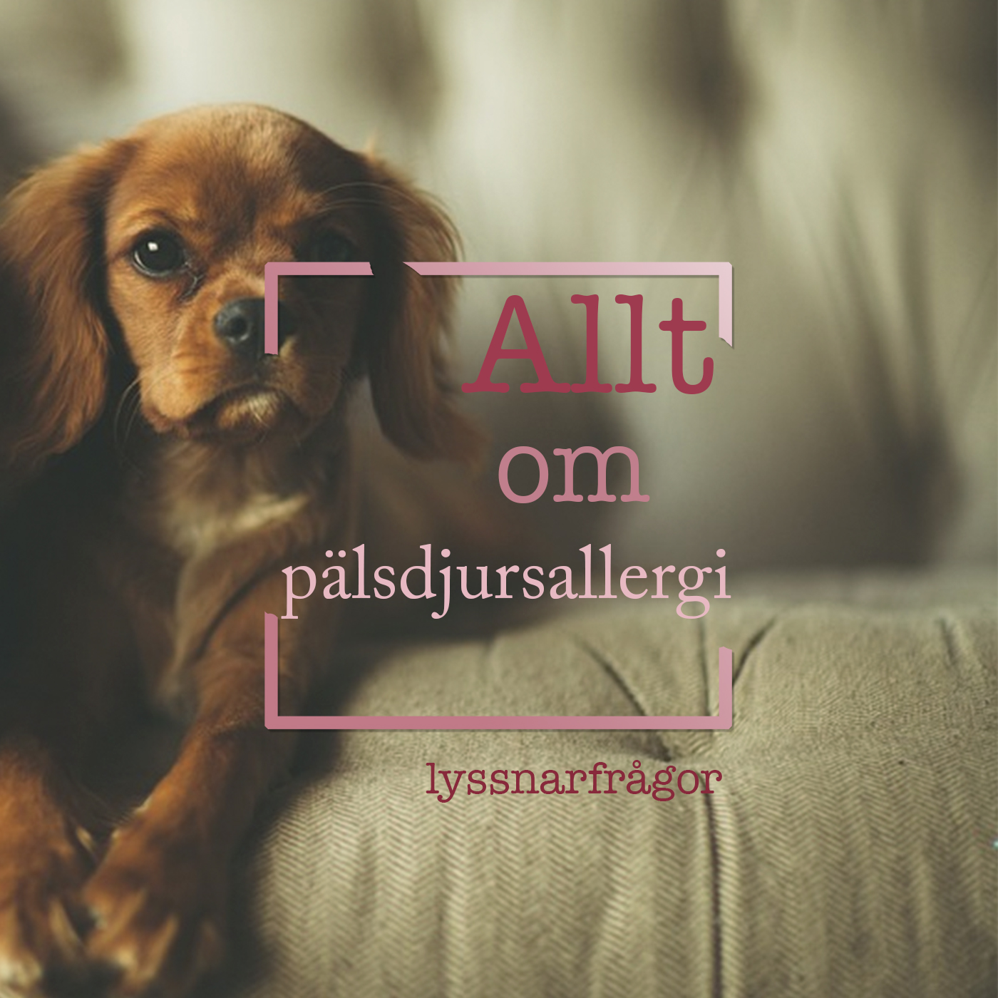 Hundpodden Vår Bästa Vän