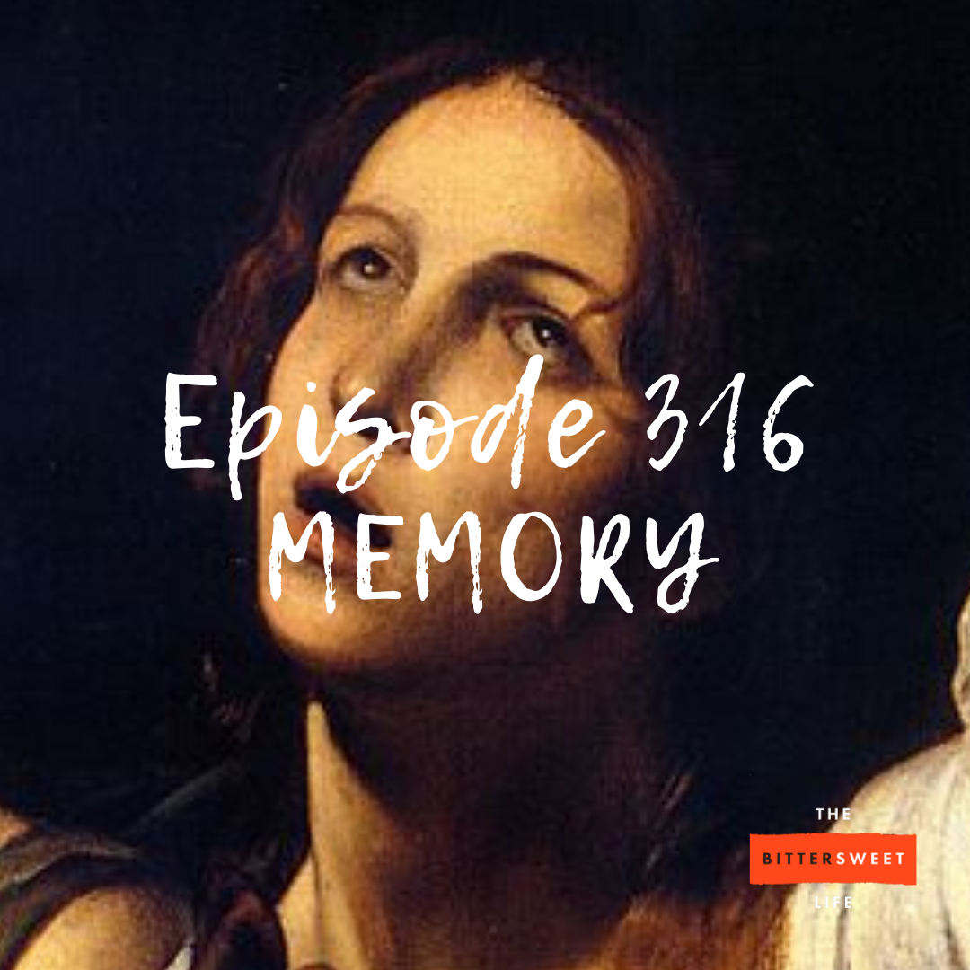 Episode 316: The Nature of Memory (with Susan Engel)