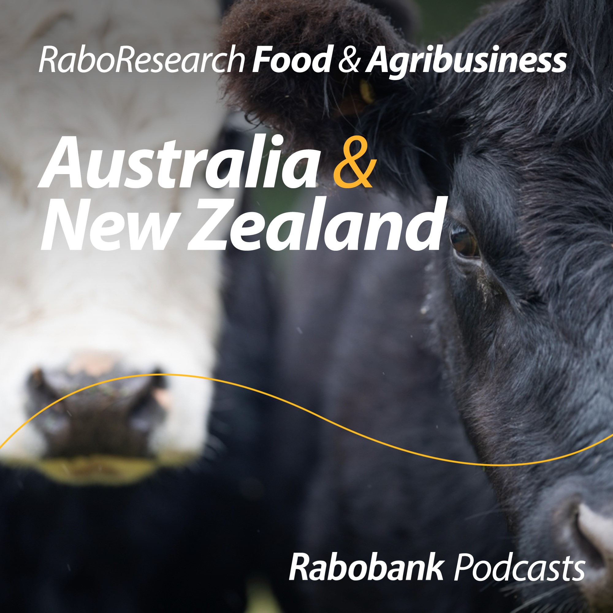 Angus talking Angus: Update on the beef market from World Angus Forum's expo
