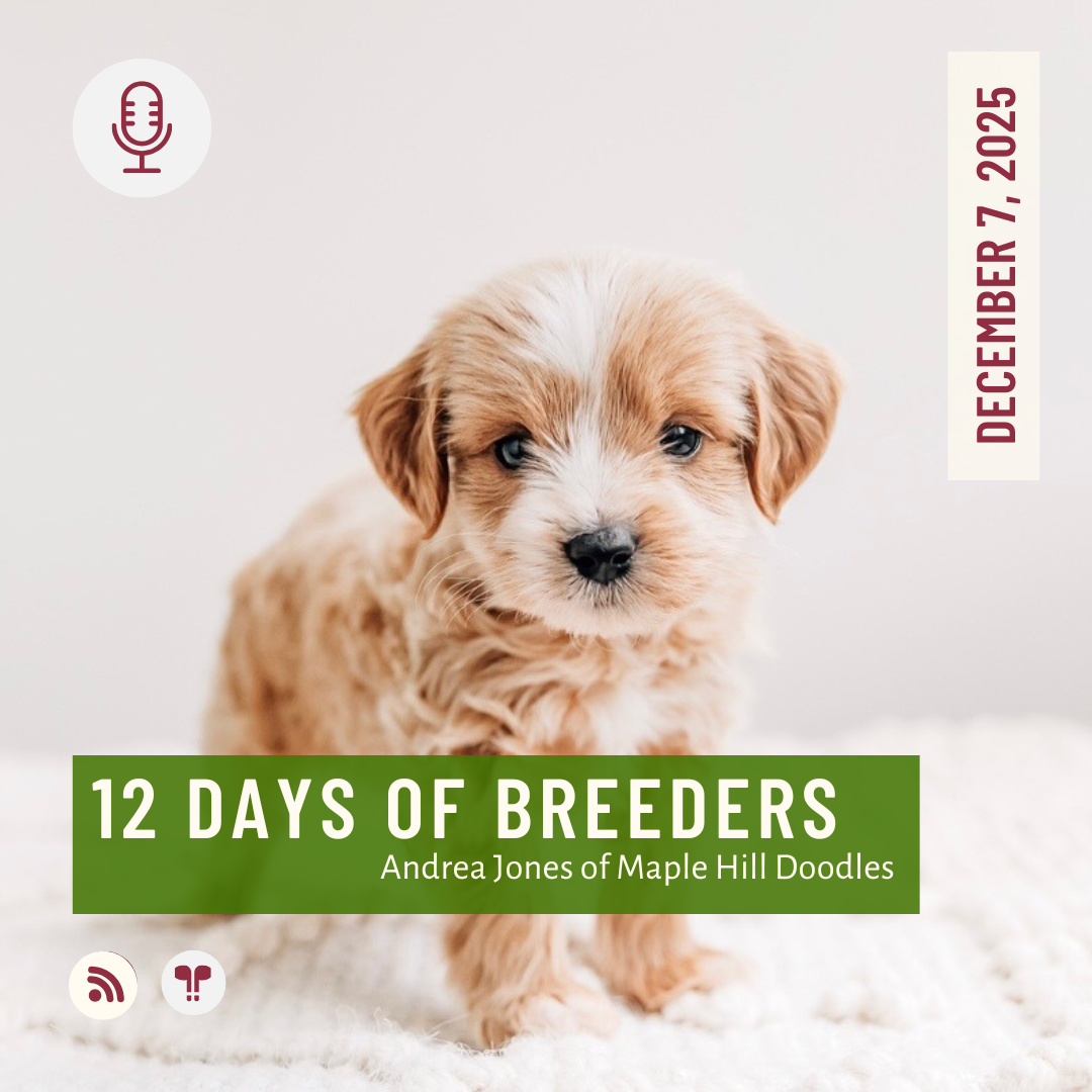 12 Days of Breeders 2025 - #7 - Andrea Jones of Maple Hill Doodles