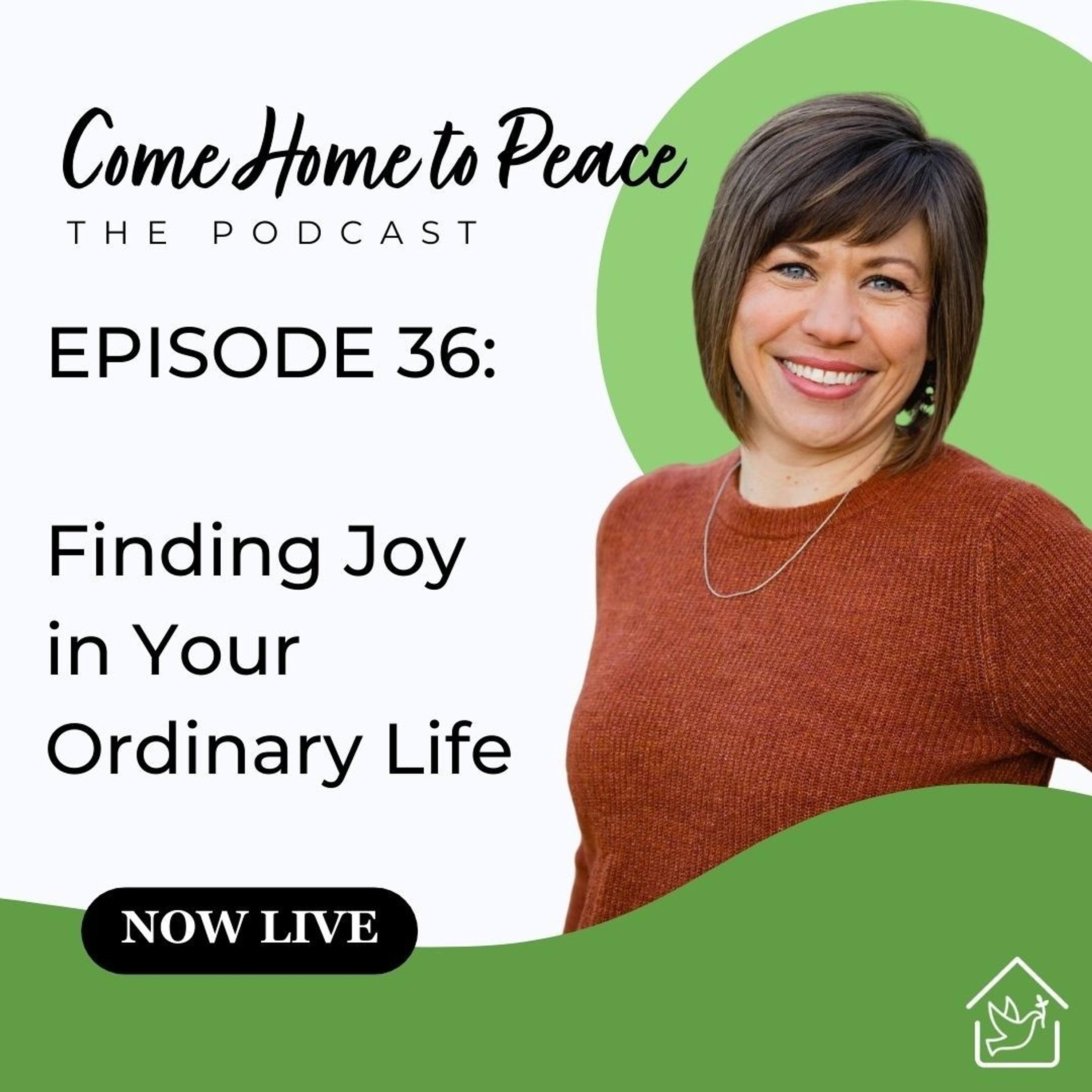 Come Home to Peace