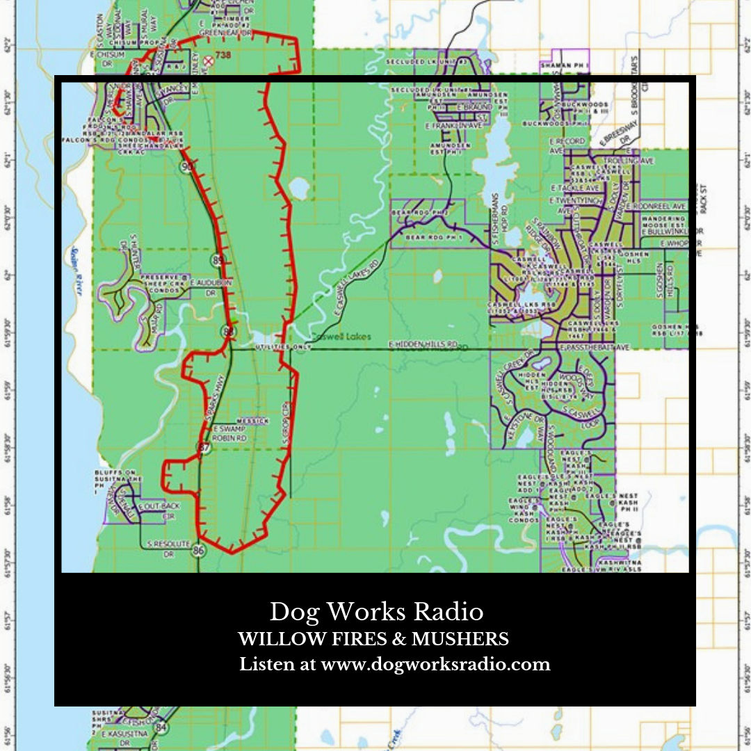Special Report: Willow Fires and Mushers
