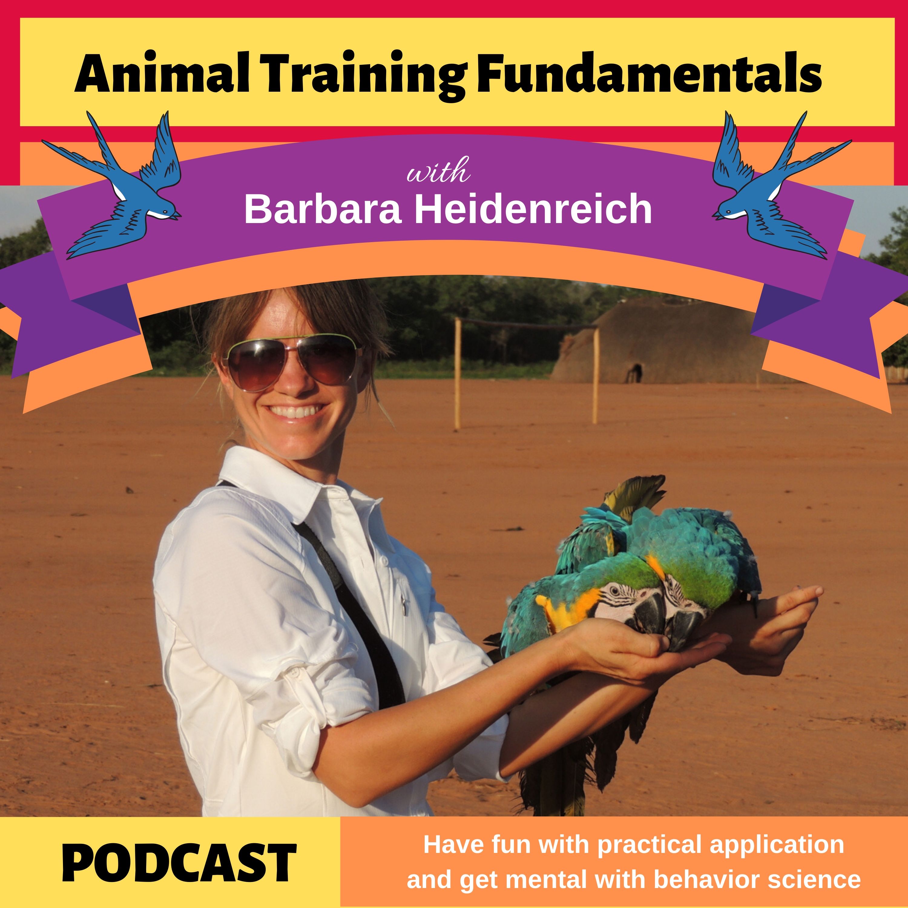 Animal Training Fundamentals with Barbara Heidenreich