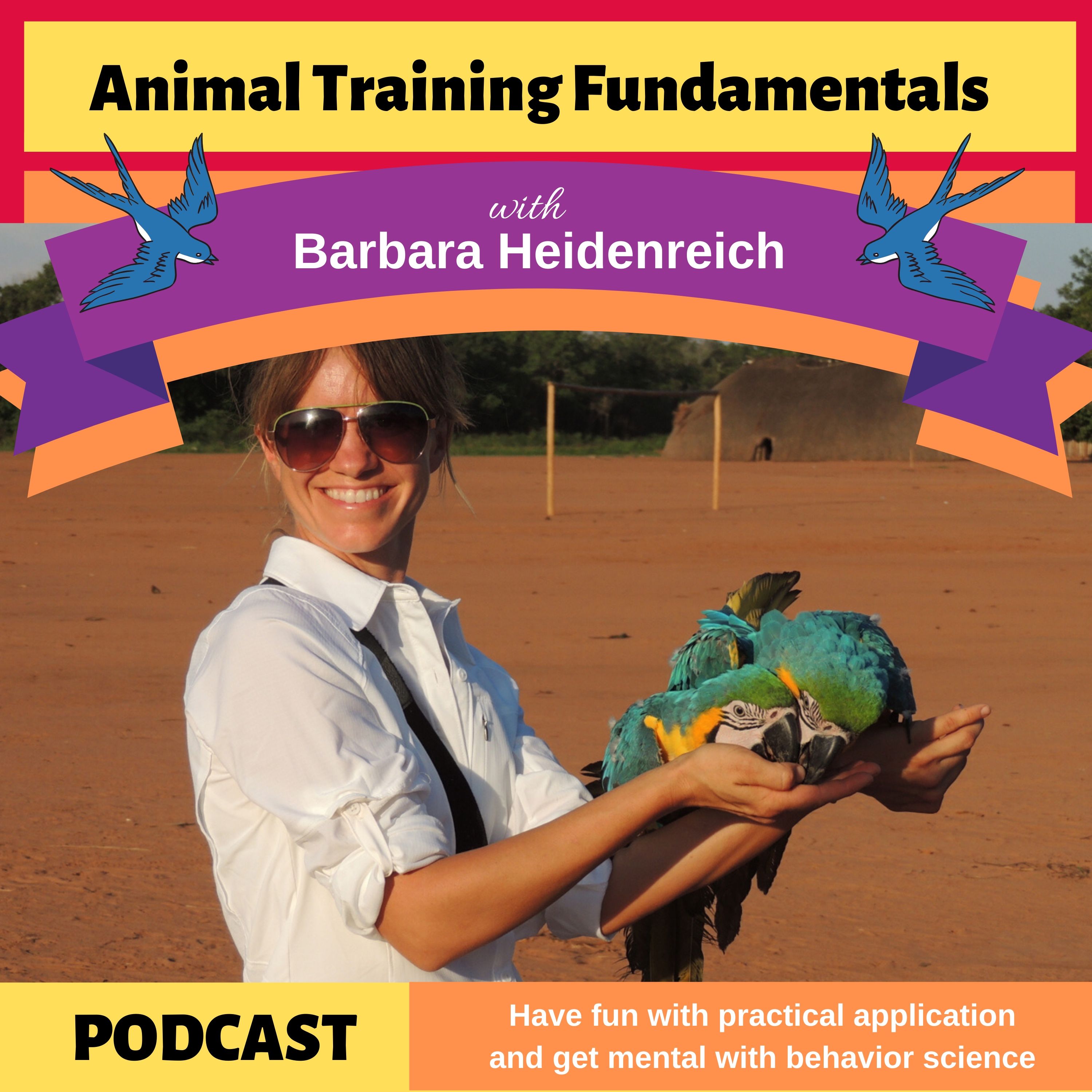 14 Progressive Bird Training with Hillary Hankey