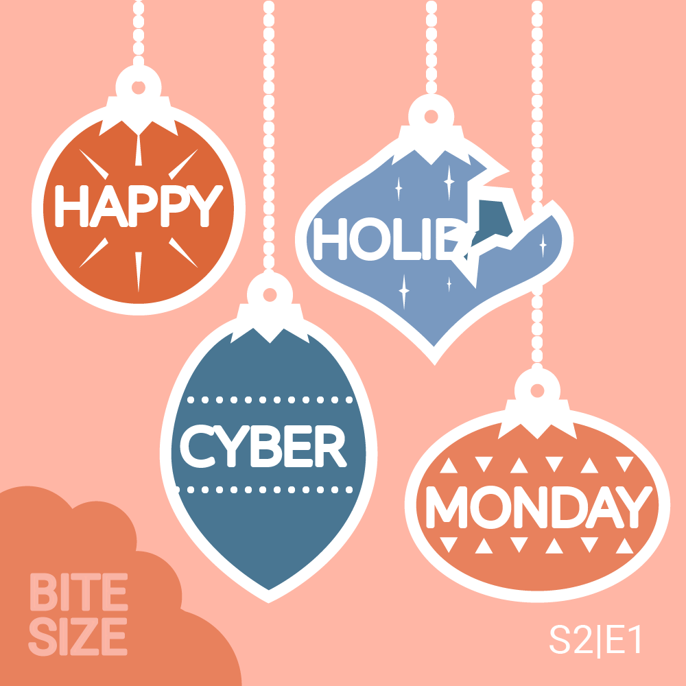 BITESIZE #18: How do entrepreneurs manage the manic holiday season?