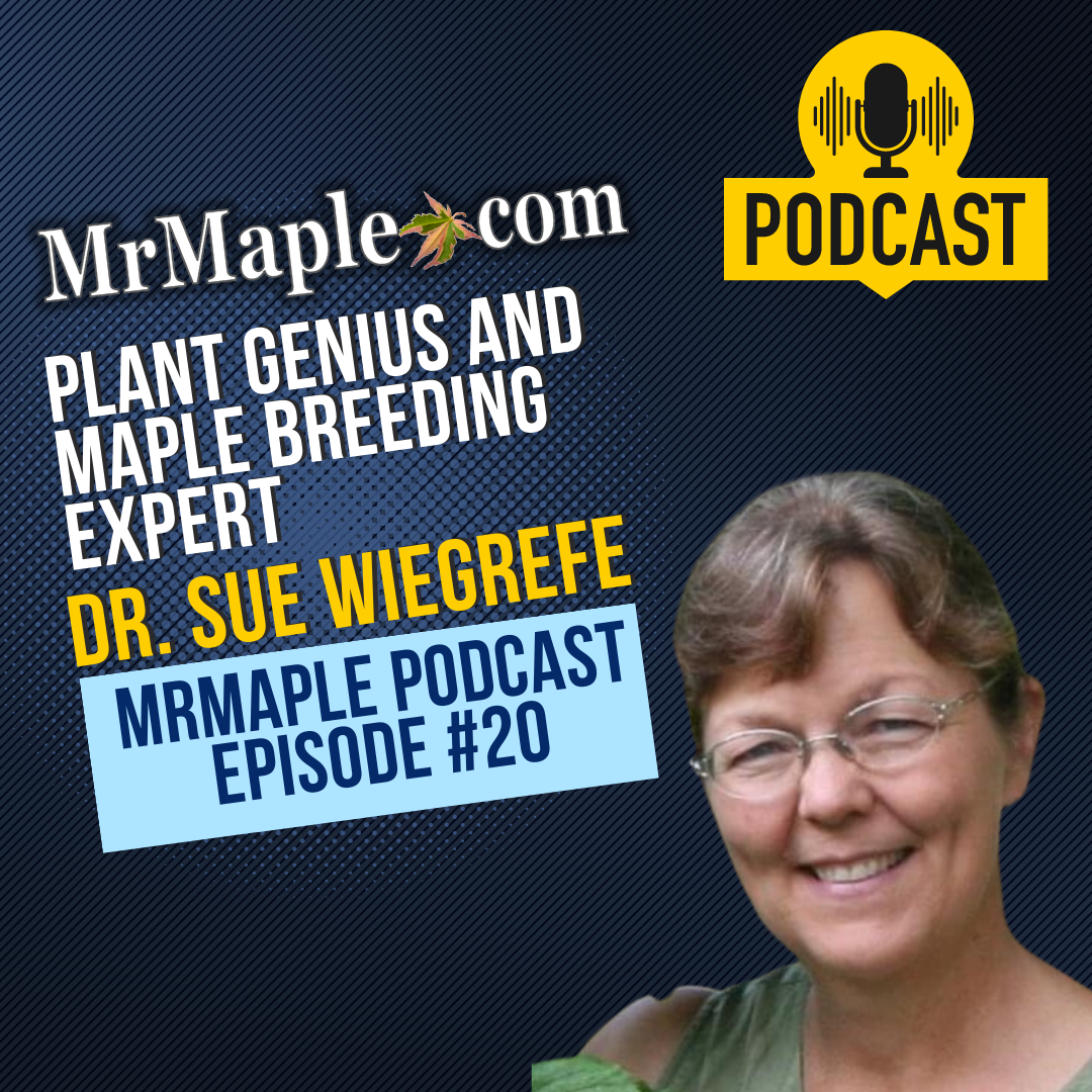 Plant Genius And Maple Breeding Expert Dr. Sue Wiegrefe | MrMaple Podcast Episode #20