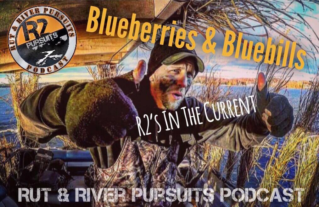 Blueberries & Bluebills - R2's In The Current