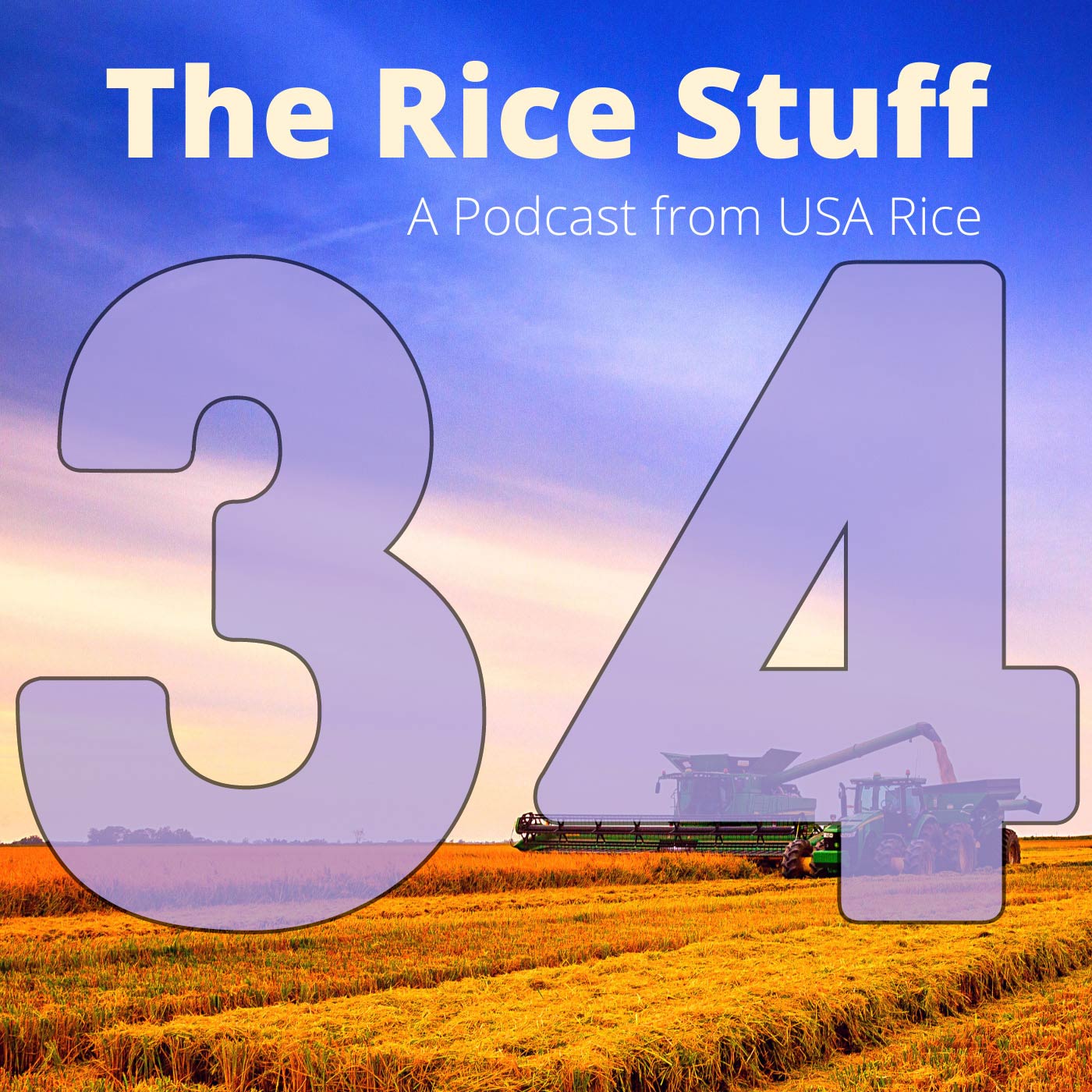 The Rice Stuff
