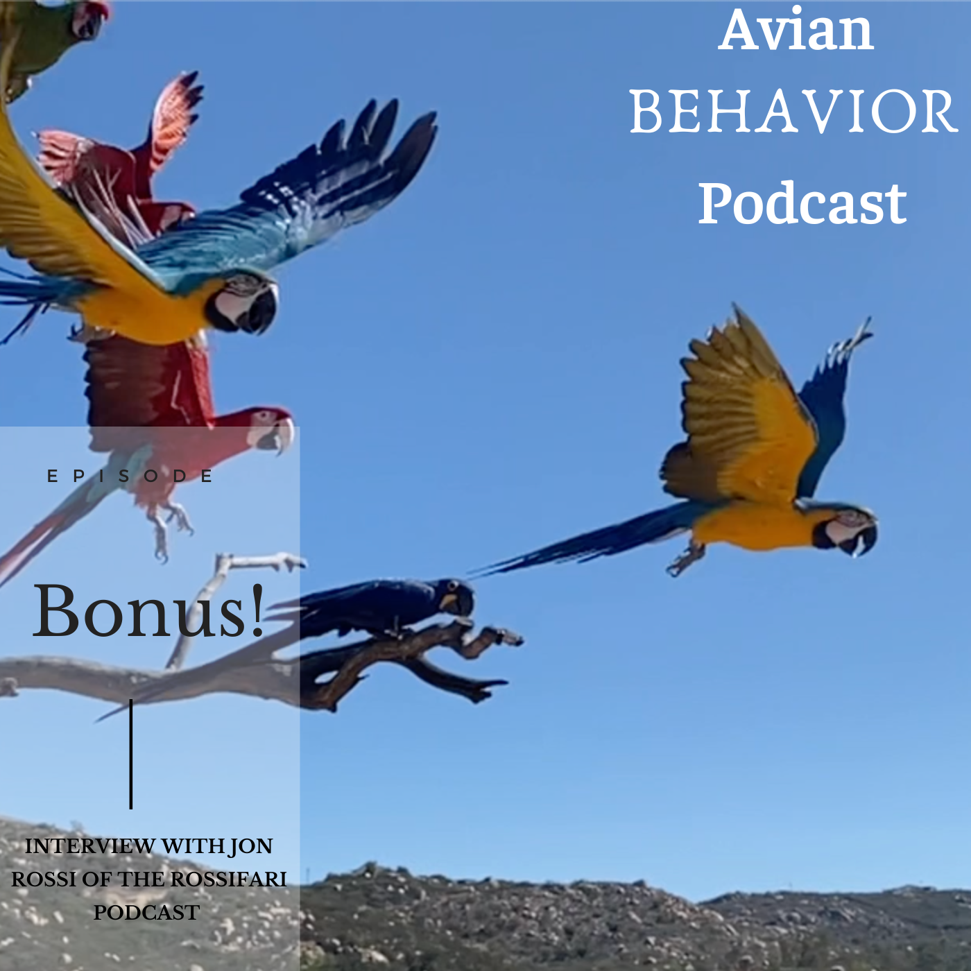 The Avian Behavior Podcast