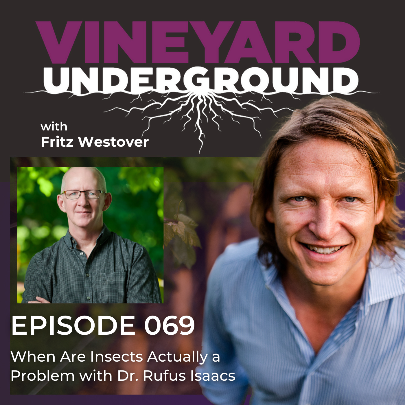 Vineyard Underground