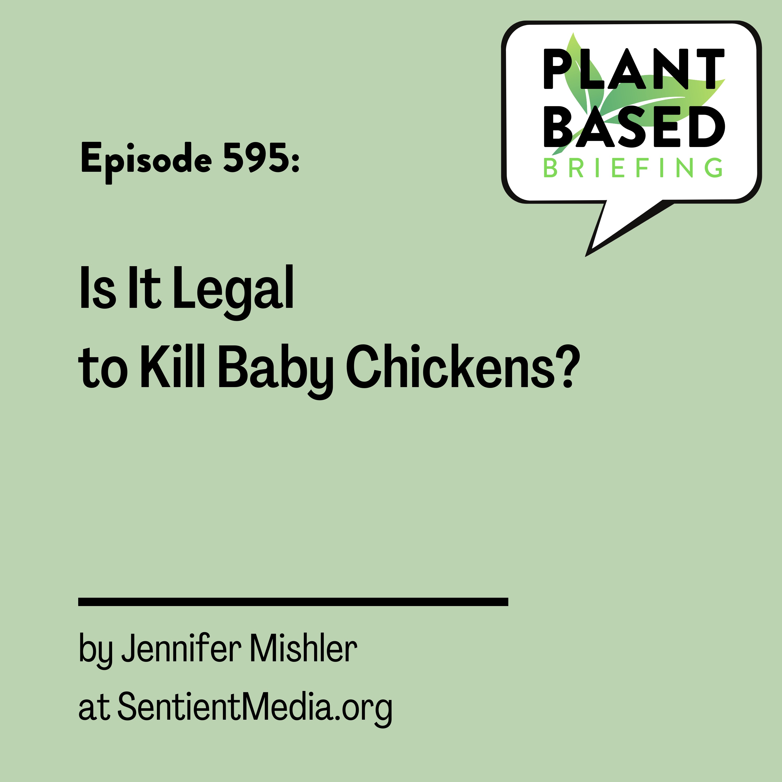 Plant Based Briefing