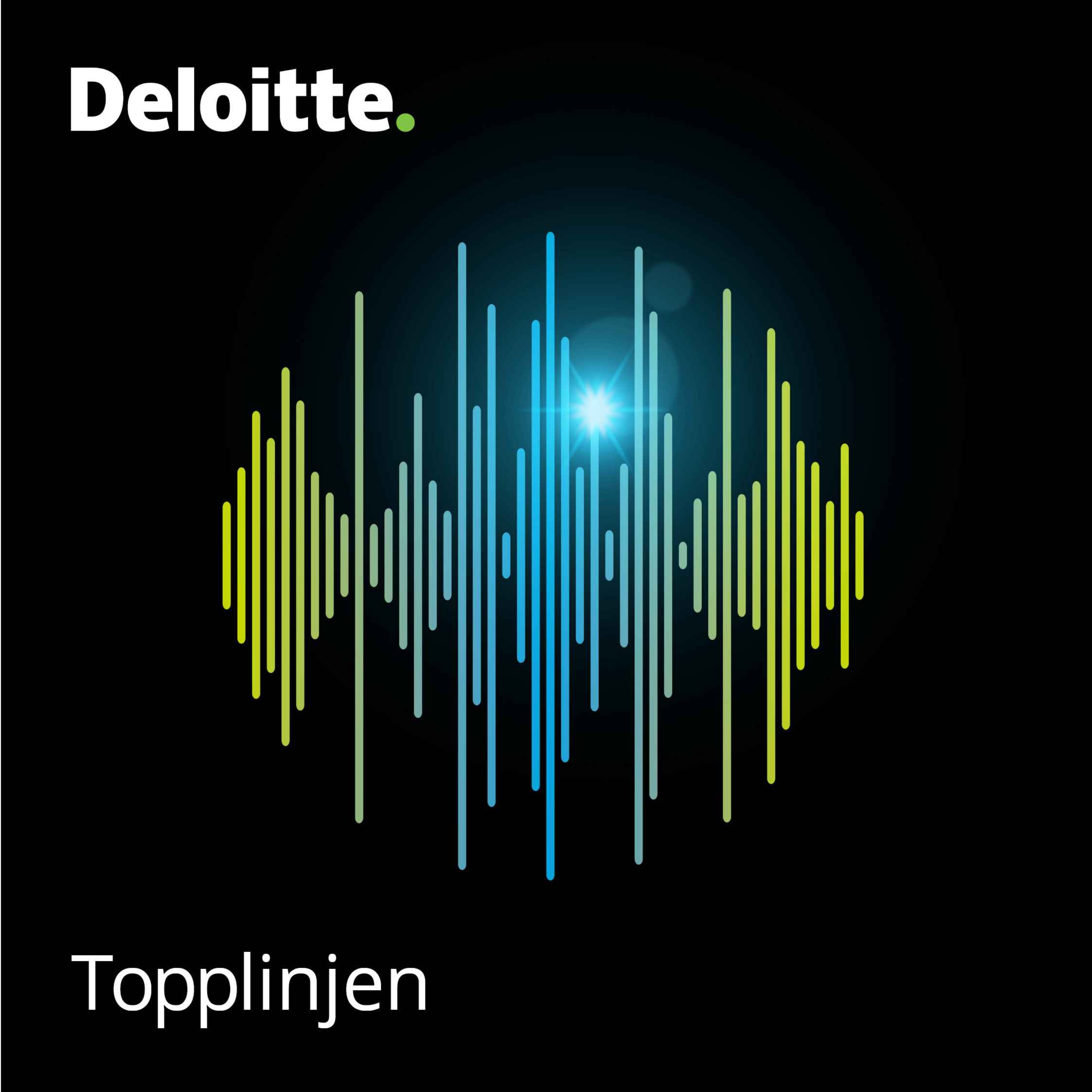 Topplinjen: Bak tallene med finansdirektørene
