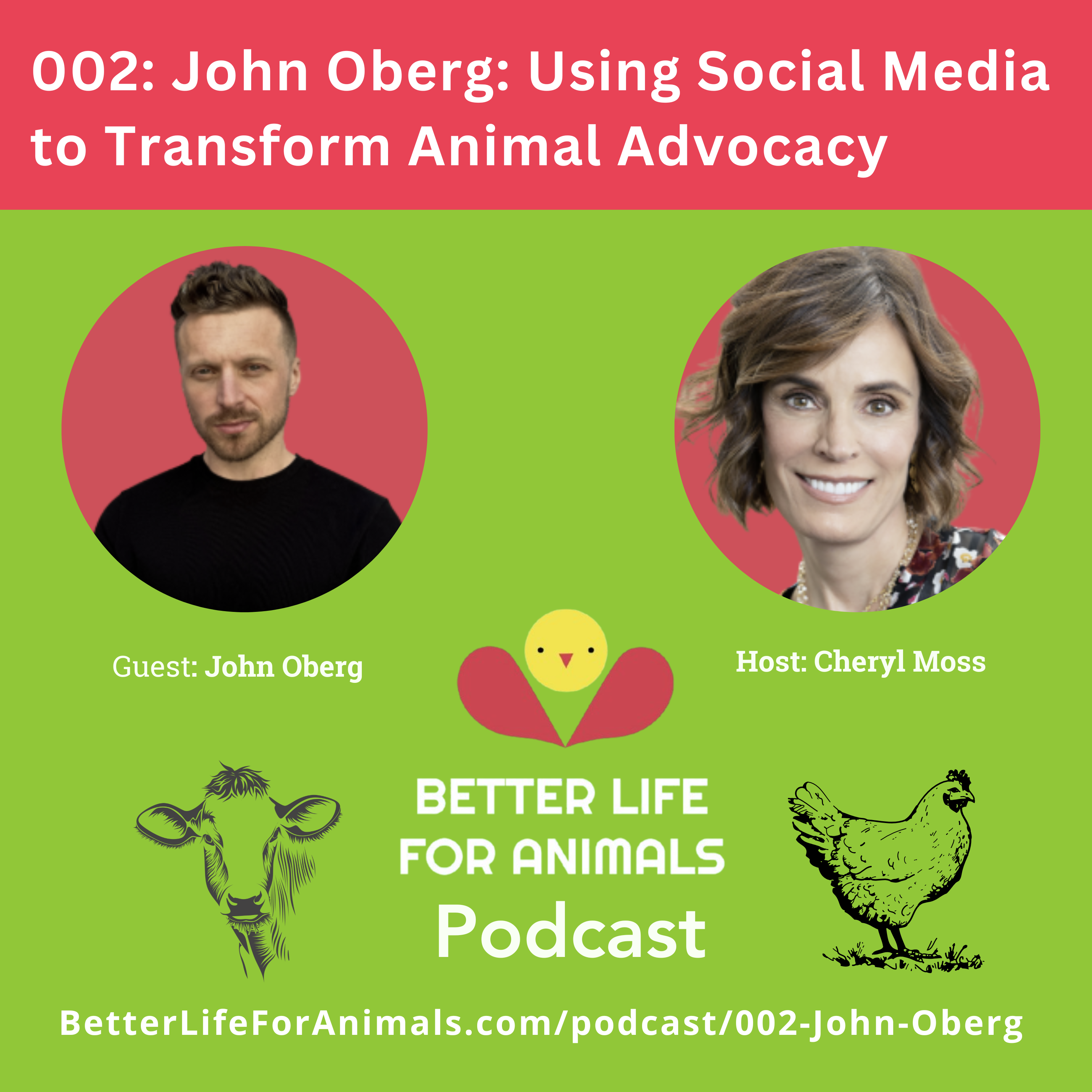 Better Life for Animals