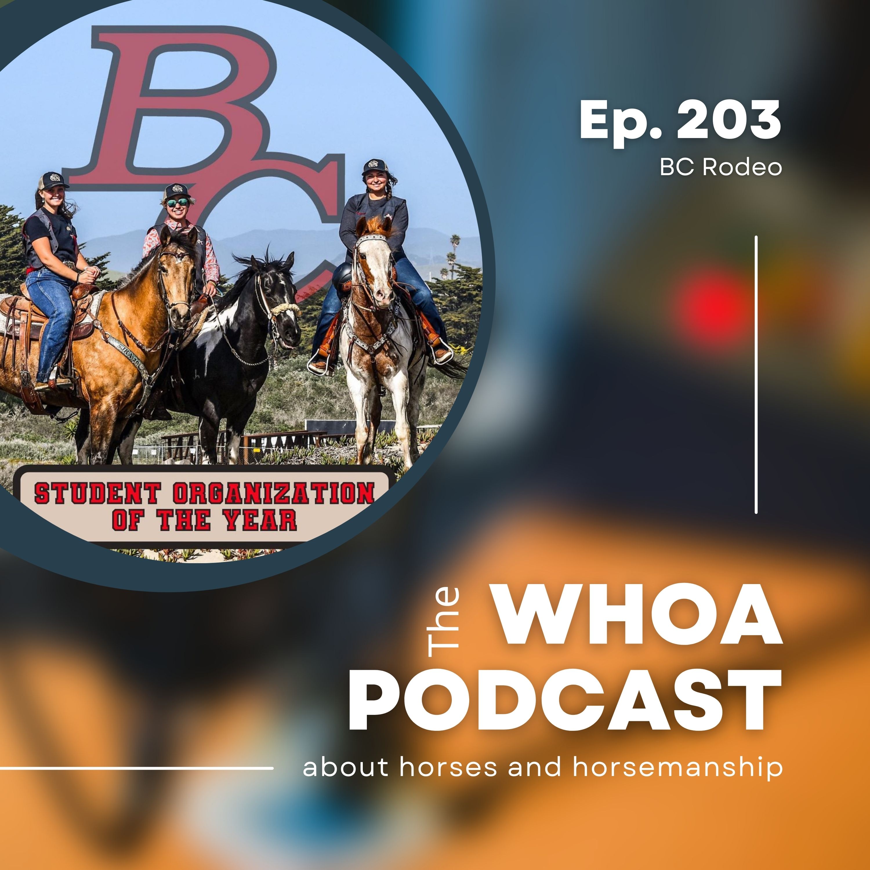 The Whoa Podcast about Horses and Horsemanship