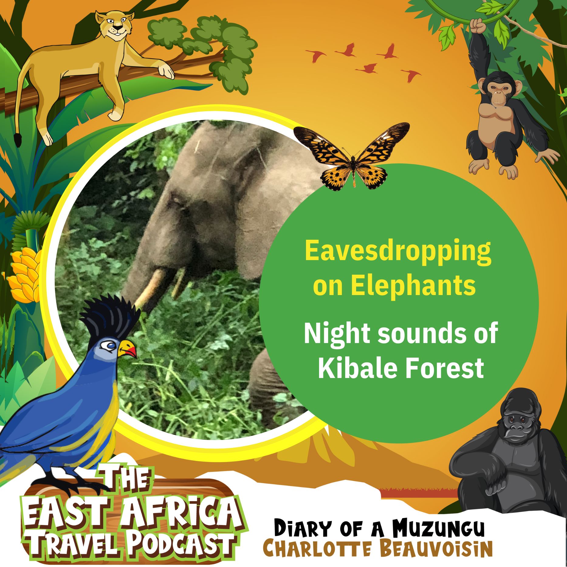 The East Africa Travel Podcast by Diary of a Muzungu