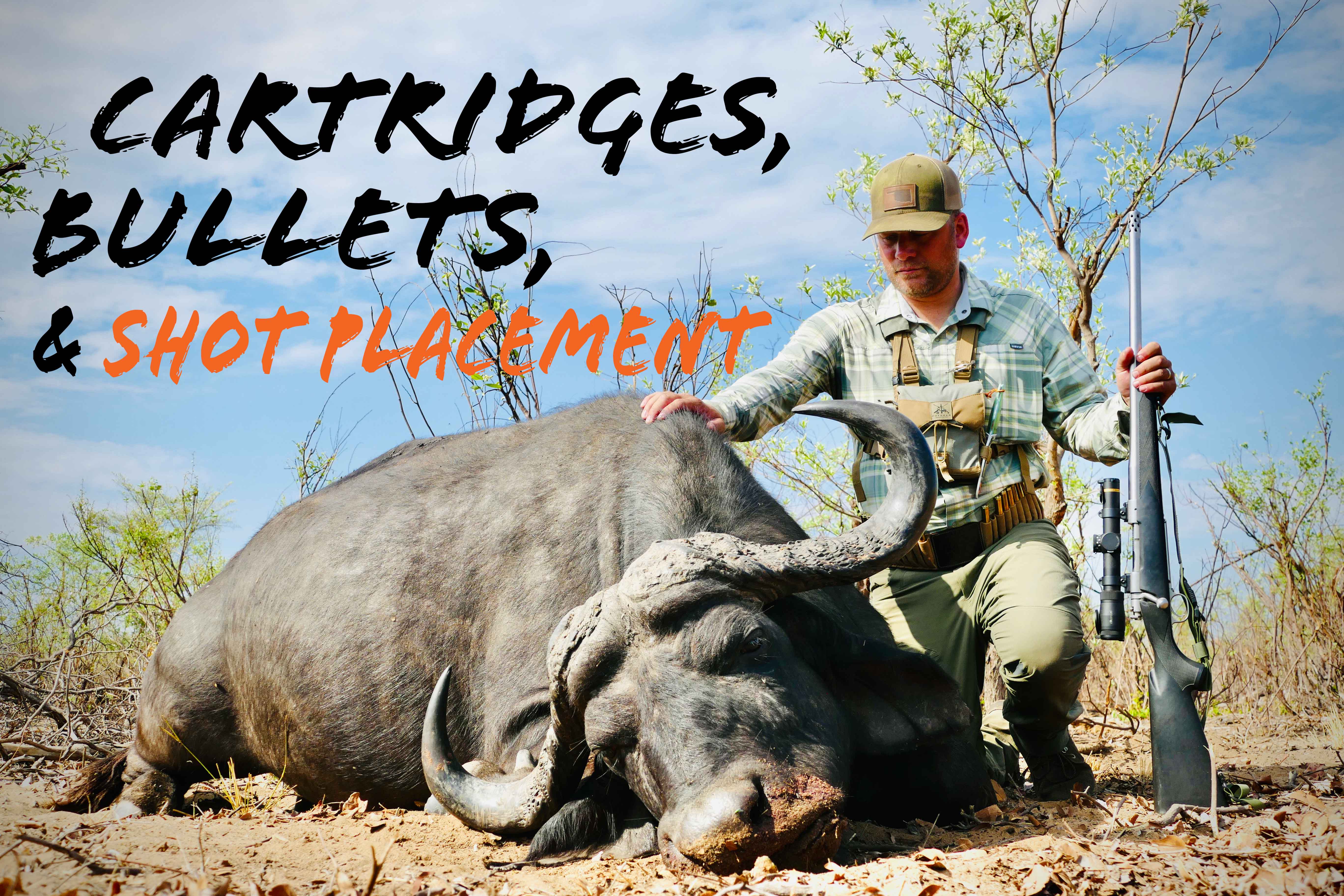 Cartridges, Bullets, & Shot Placement for Cape Buffalo